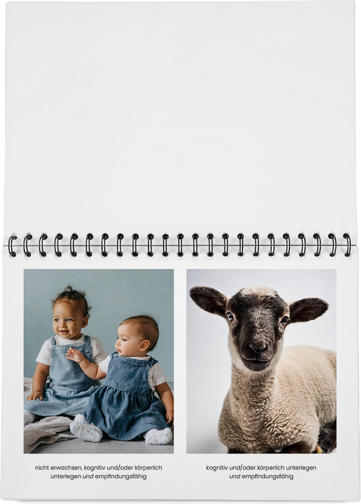 DieMappe_Mockup_8 Kopie.png