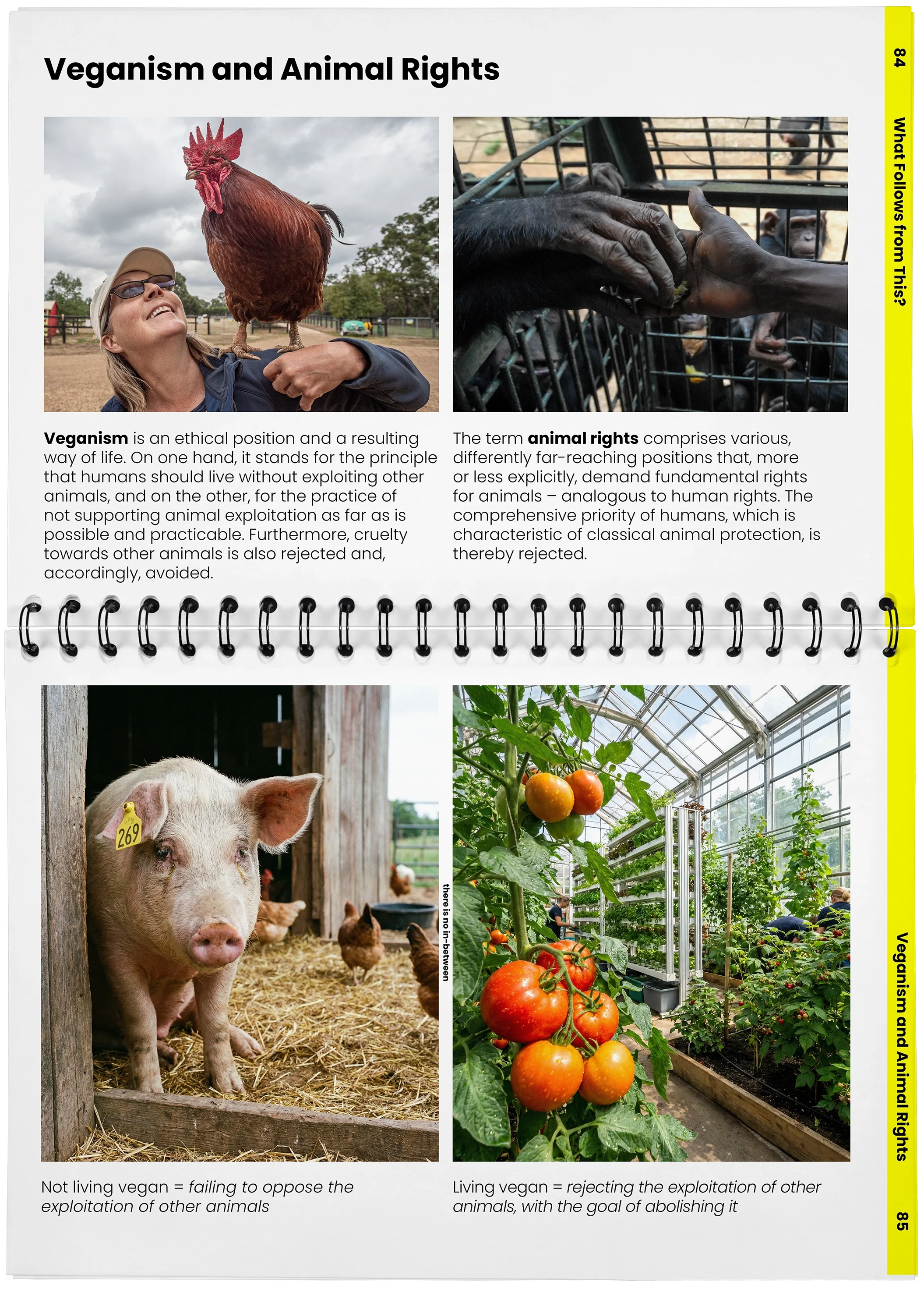 2026_04_29_DieMappe_Aufgeschlagen_Mockup_EN_42.webp
