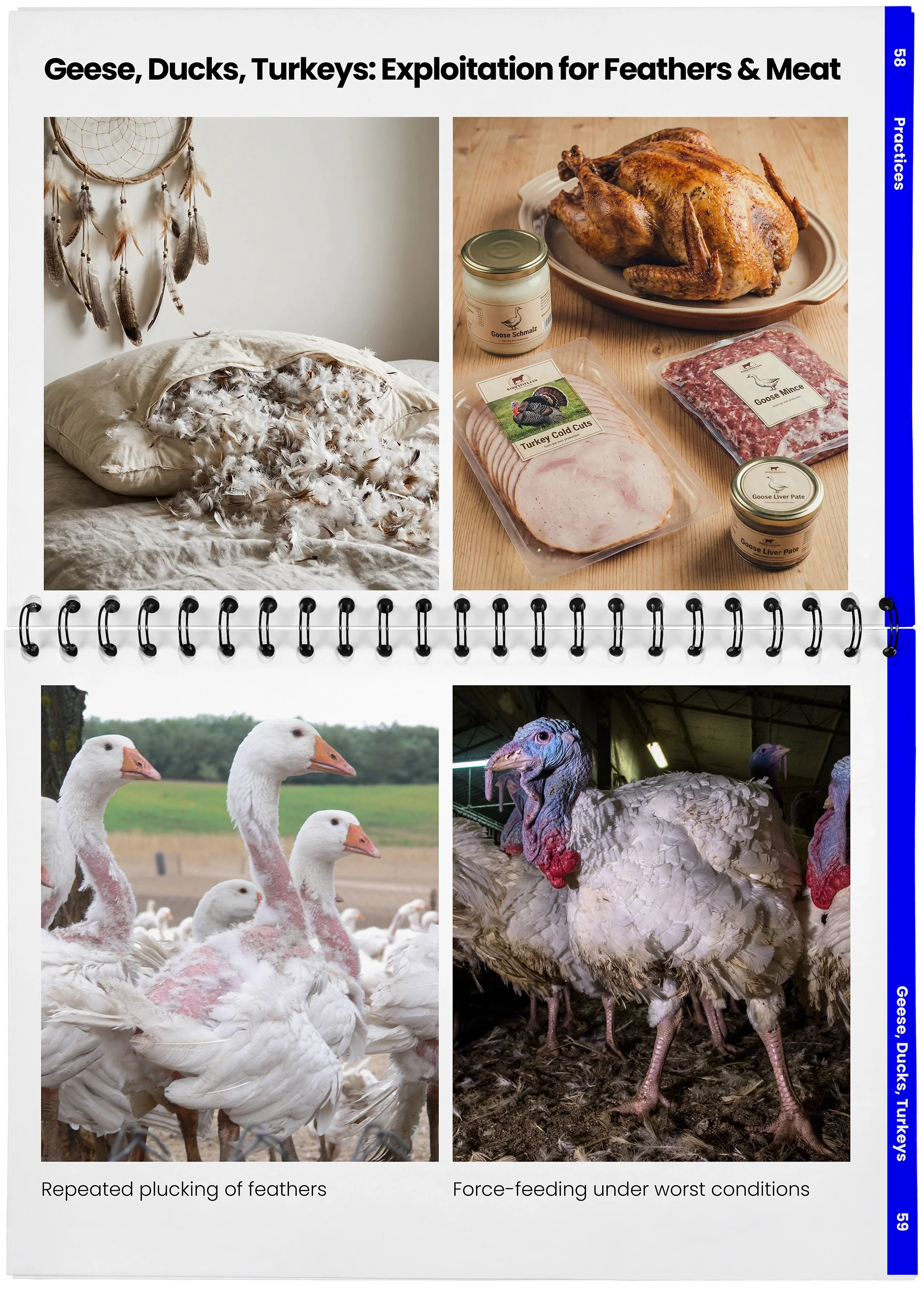 2026_04_29_DieMappe_Aufgeschlagen_Mockup_EN_29.webp