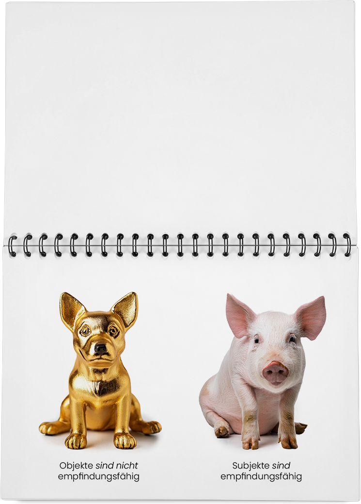 DieMappe_Mockup_2 Kopie.png