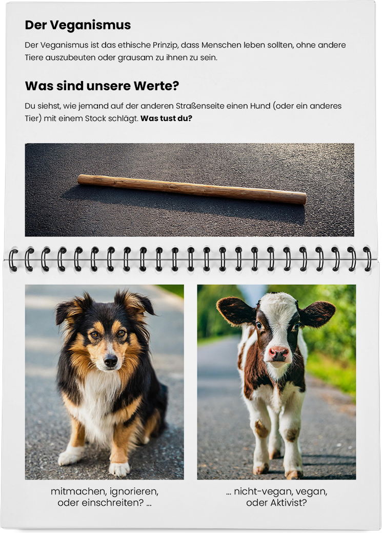 DieMappe_Mockup_38 Kopie.png