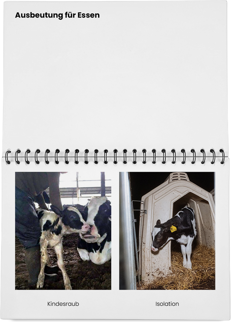 DieMappe_Mockup_19 Kopie.png