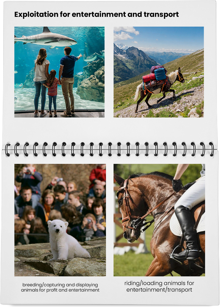 DieMappe_Mockup Kopie_EN Kopie_36.png