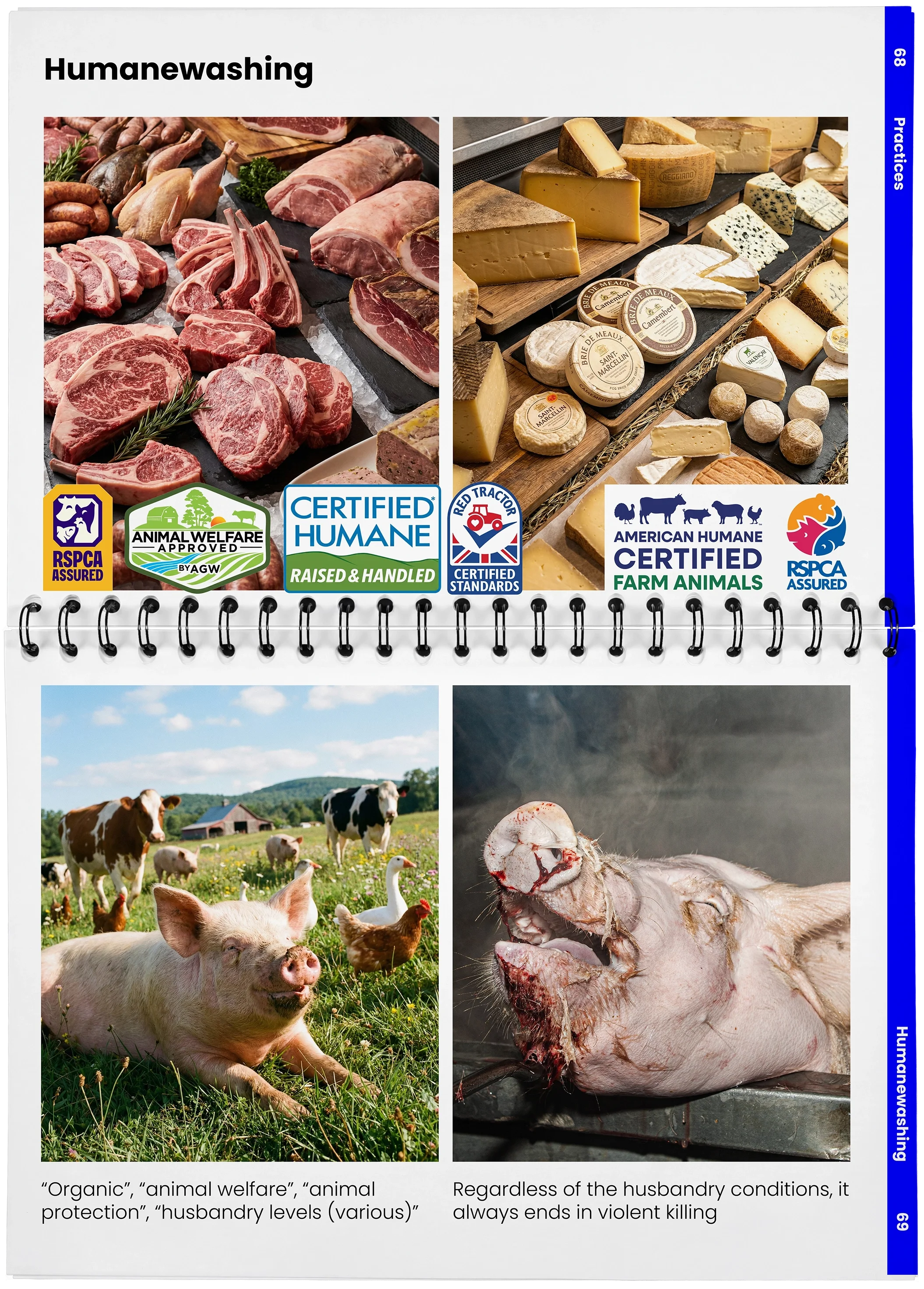 2026_04_29_DieMappe_Aufgeschlagen_Mockup_EN_34.webp