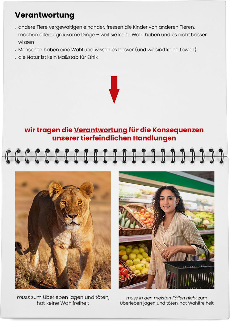 DieMappe_Mockup_33 Kopie.png