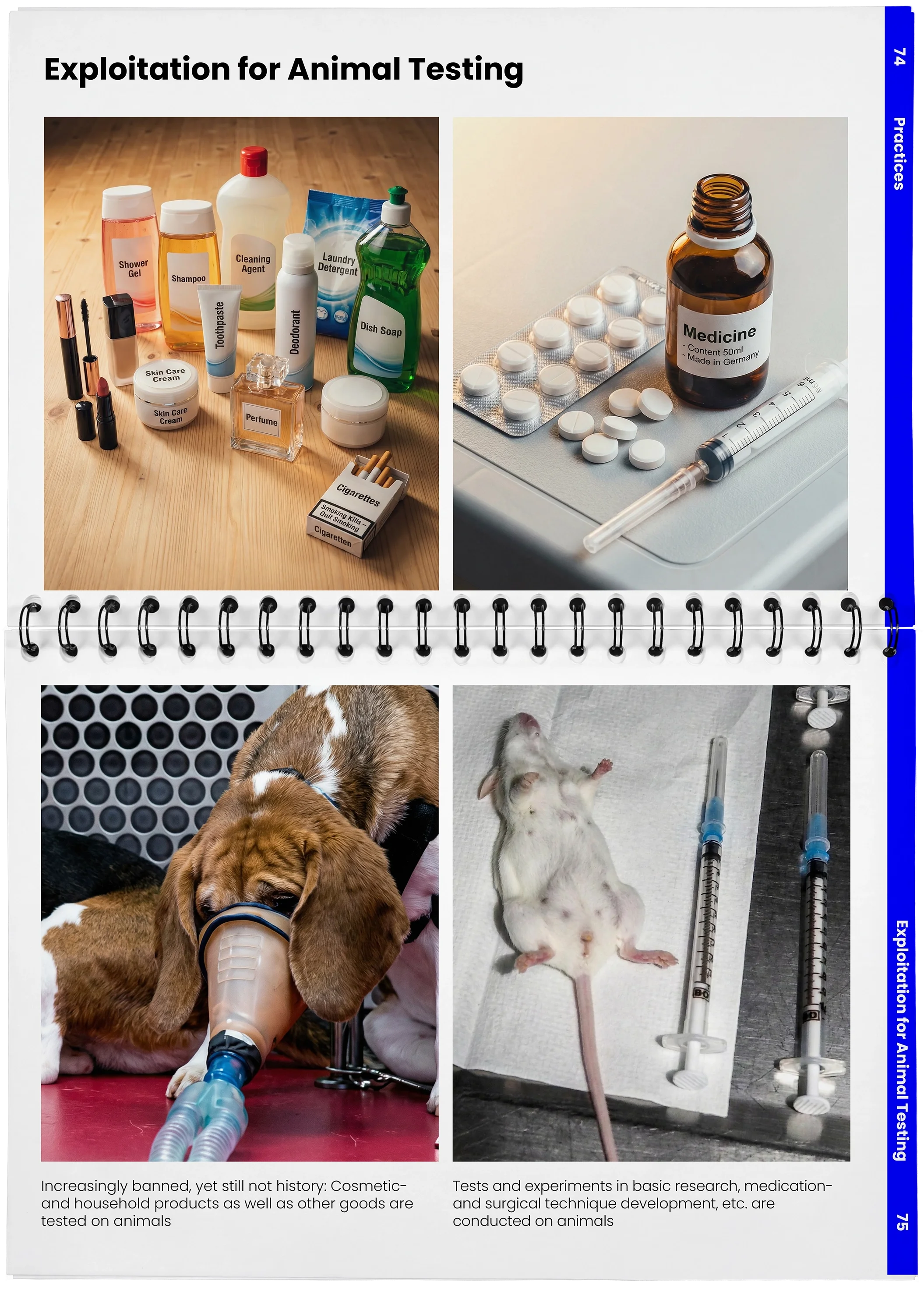 2026_04_29_DieMappe_Aufgeschlagen_Mockup_EN_37.webp