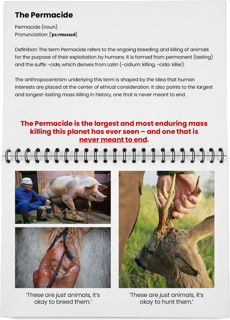 DieMappe_Mockup Kopie_EN Kopie_15.png