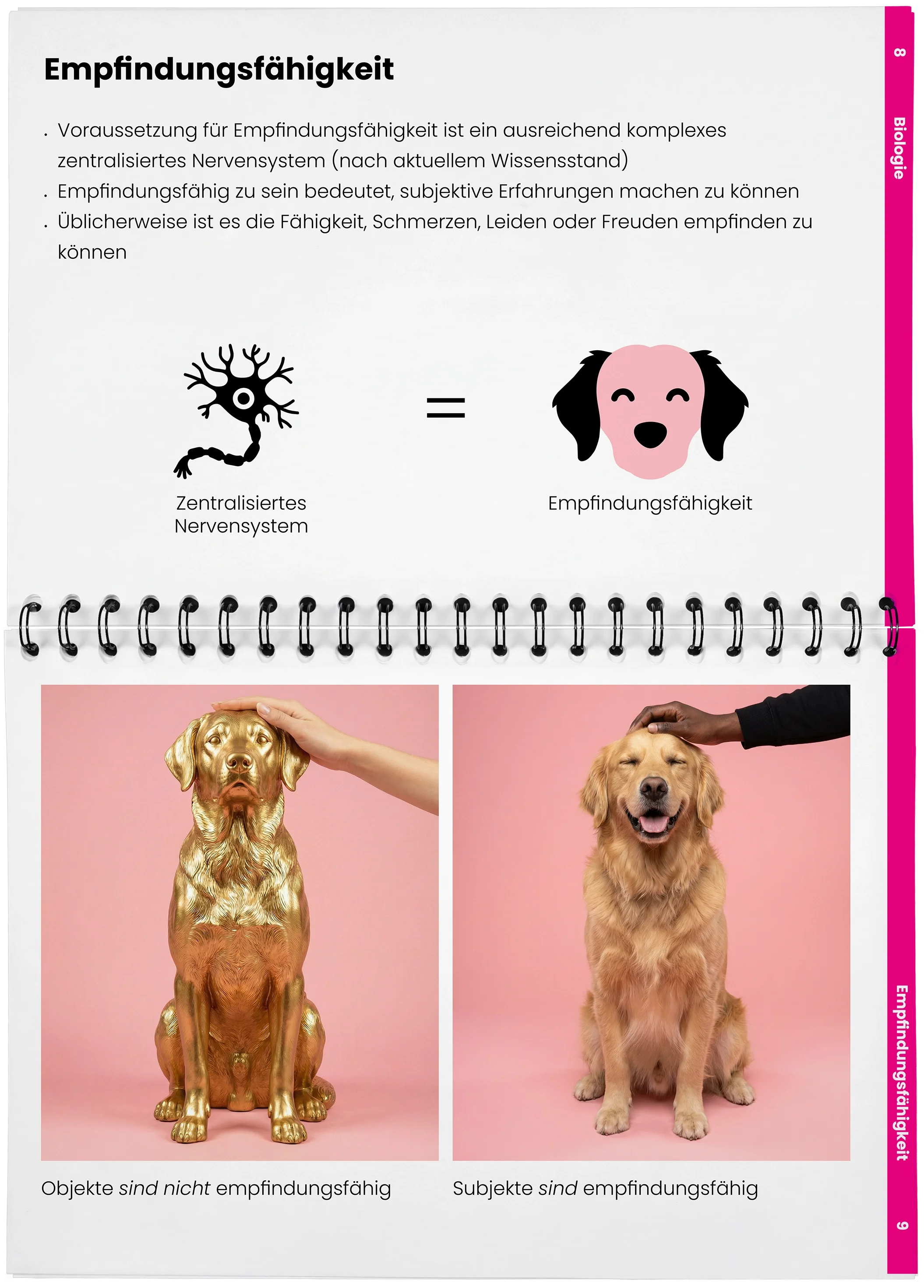 2026_04_29_DieMappe_Aufgeschlagen_Mockup4 Kopie.webp
