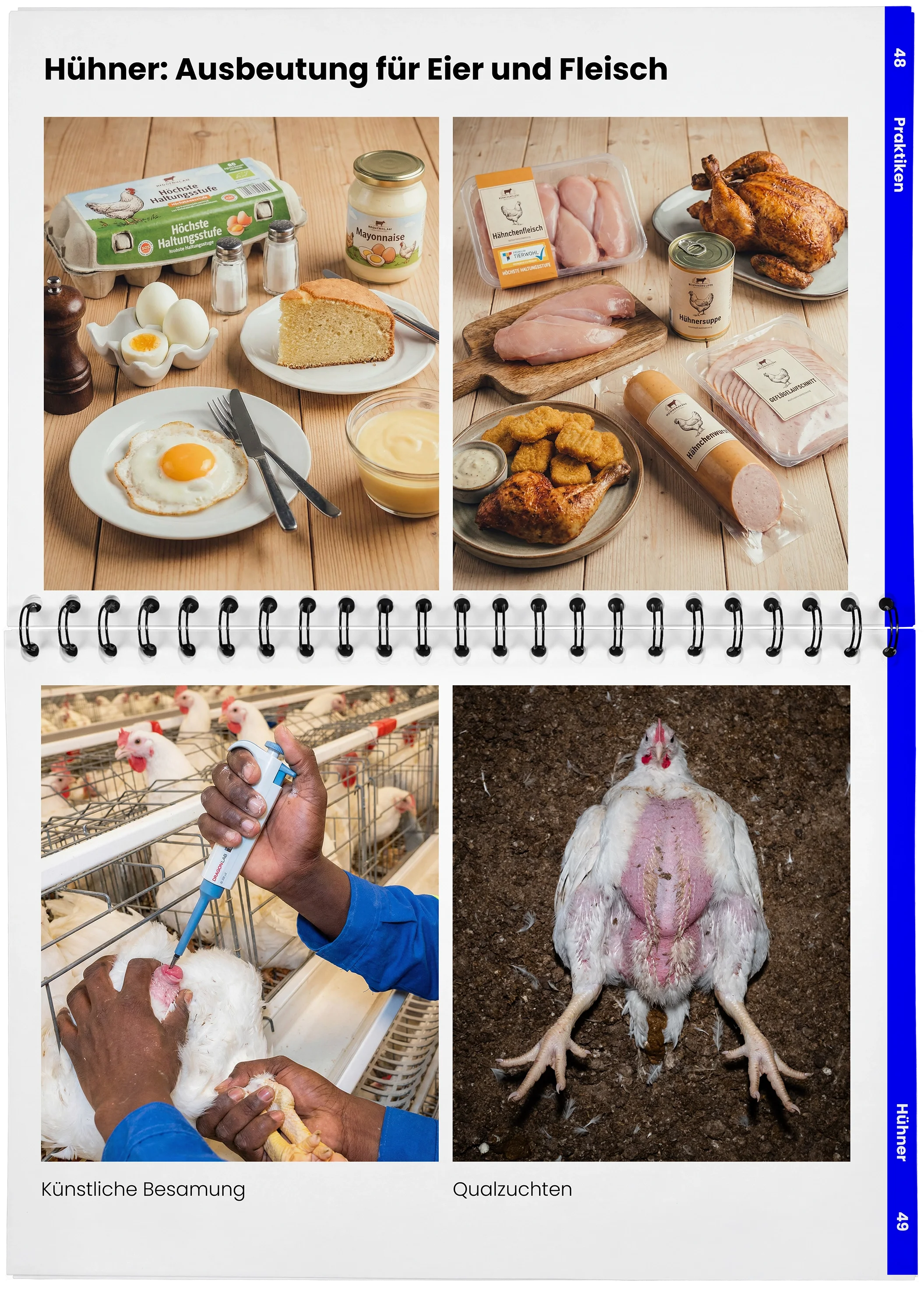 2026_04_29_DieMappe_Aufgeschlagen_Mockup24 Kopie.webp