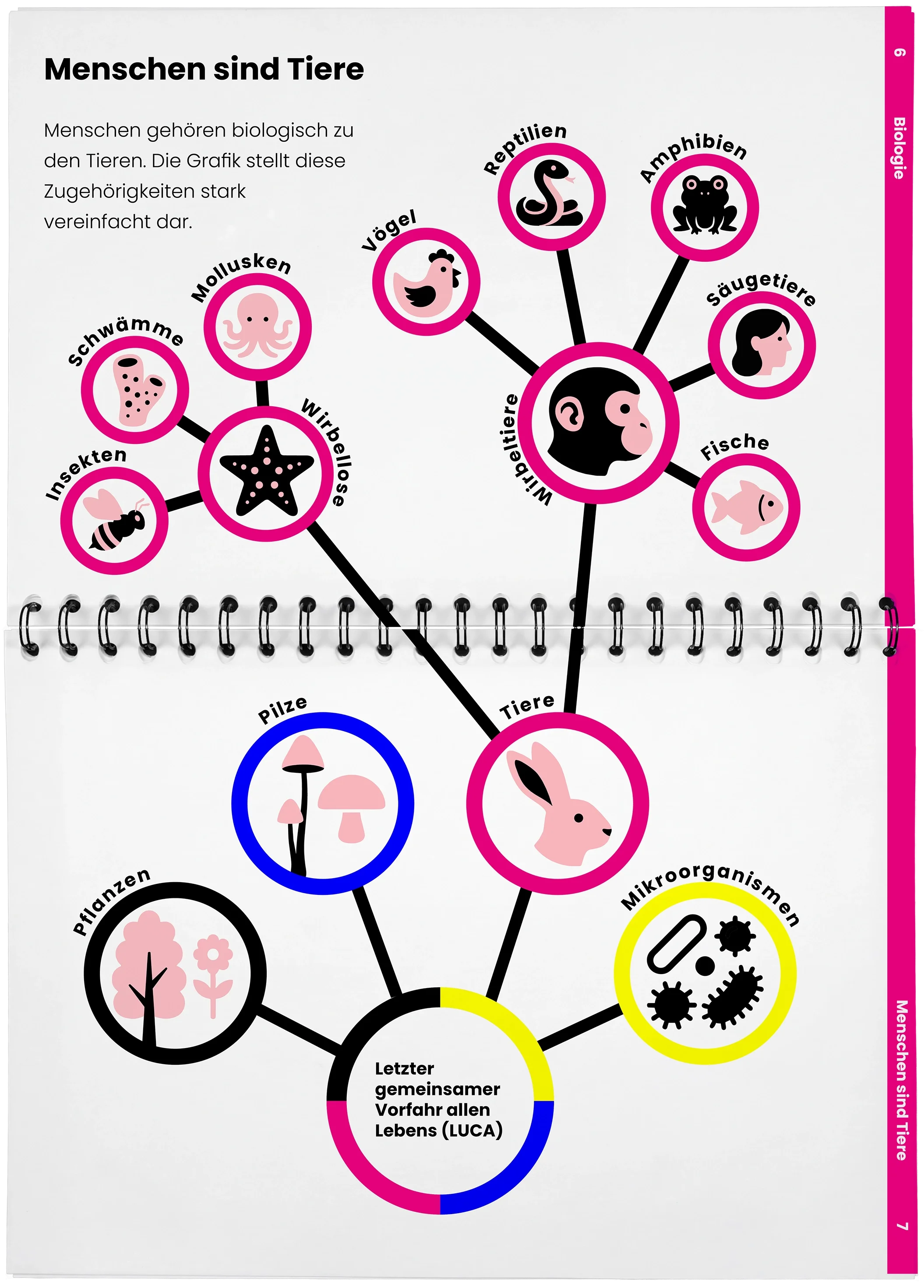 2026_04_29_DieMappe_Aufgeschlagen_Mockup3 Kopie.webp