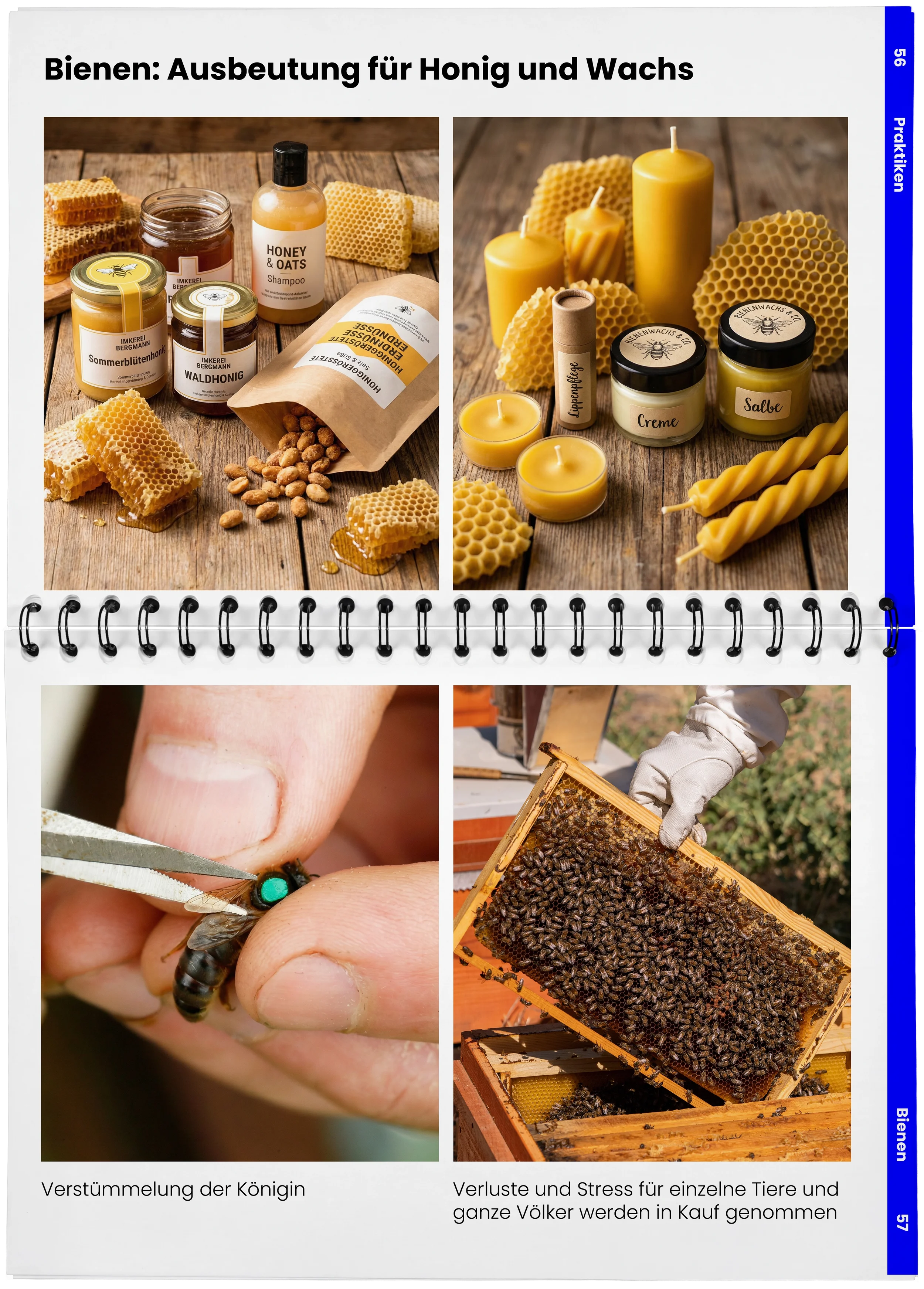2026_04_29_DieMappe_Aufgeschlagen_Mockup27-2.webp