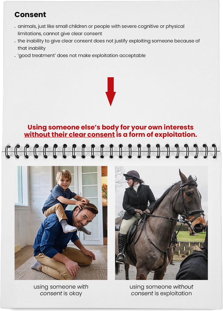 DieMappe_Mockup Kopie_EN Kopie_10.png