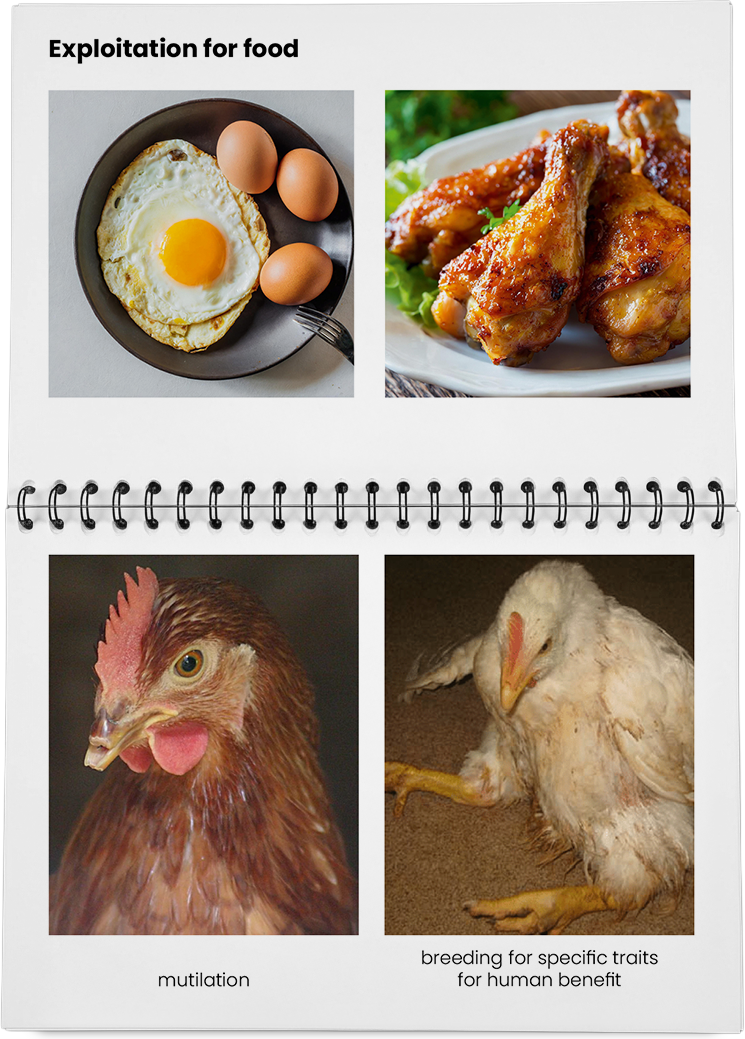 DieMappe_Mockup Kopie_EN Kopie_22.png