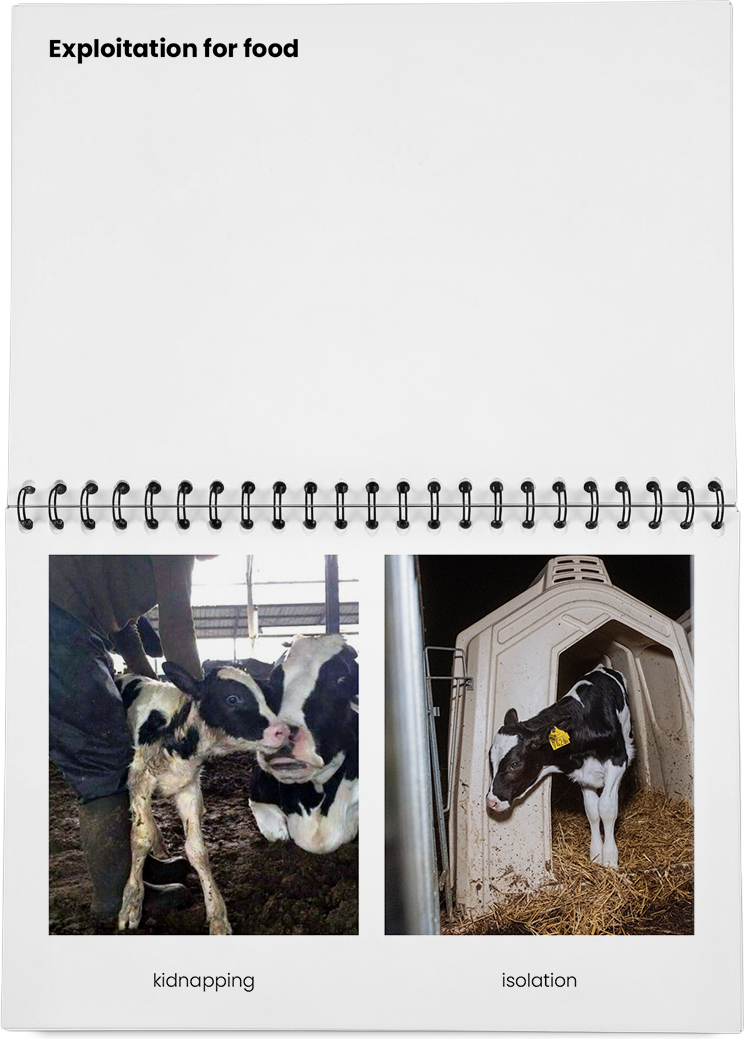 DieMappe_Mockup Kopie_EN Kopie_20.png