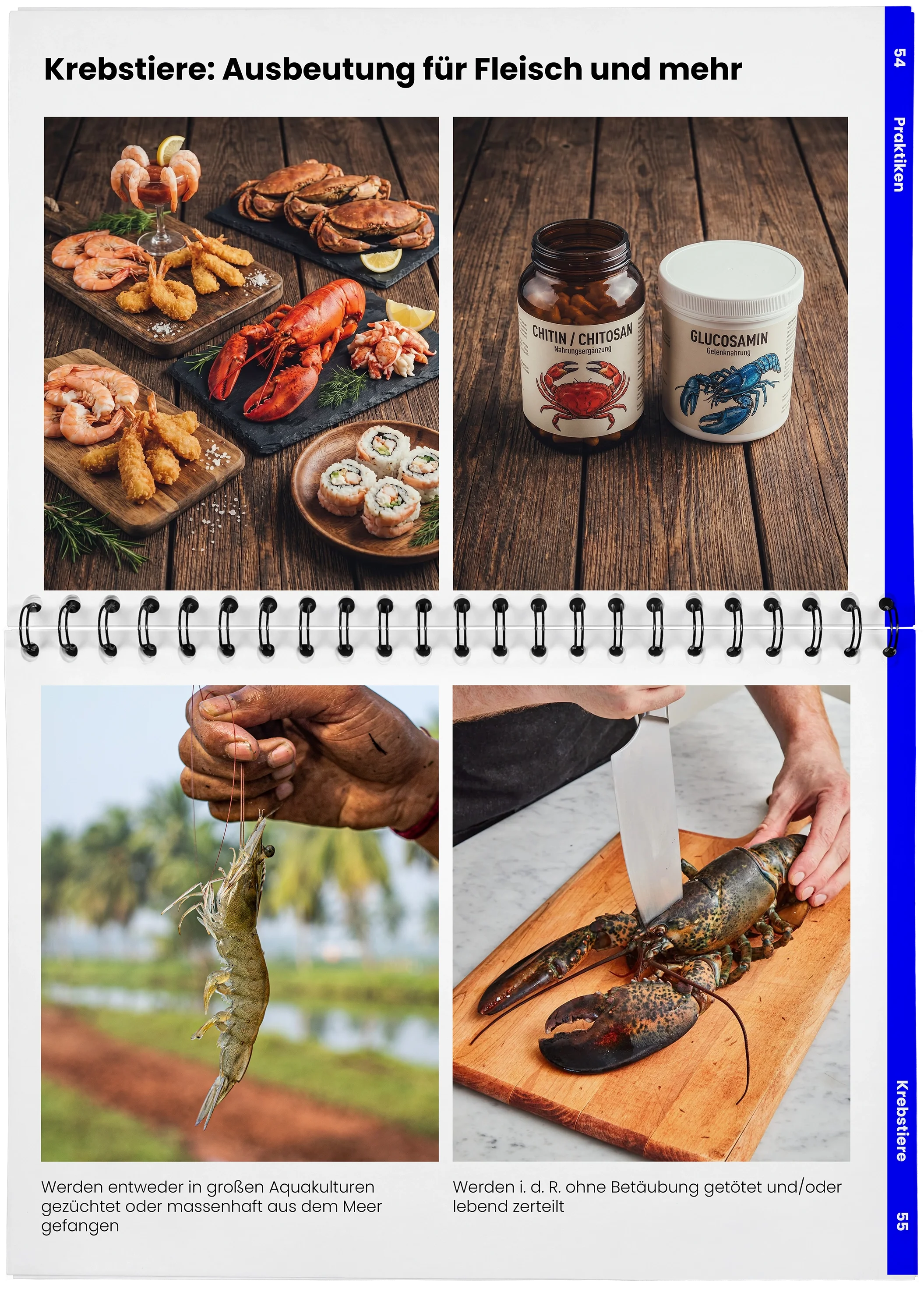 2026_04_29_DieMappe_Aufgeschlagen_Mockup27 Kopie.webp