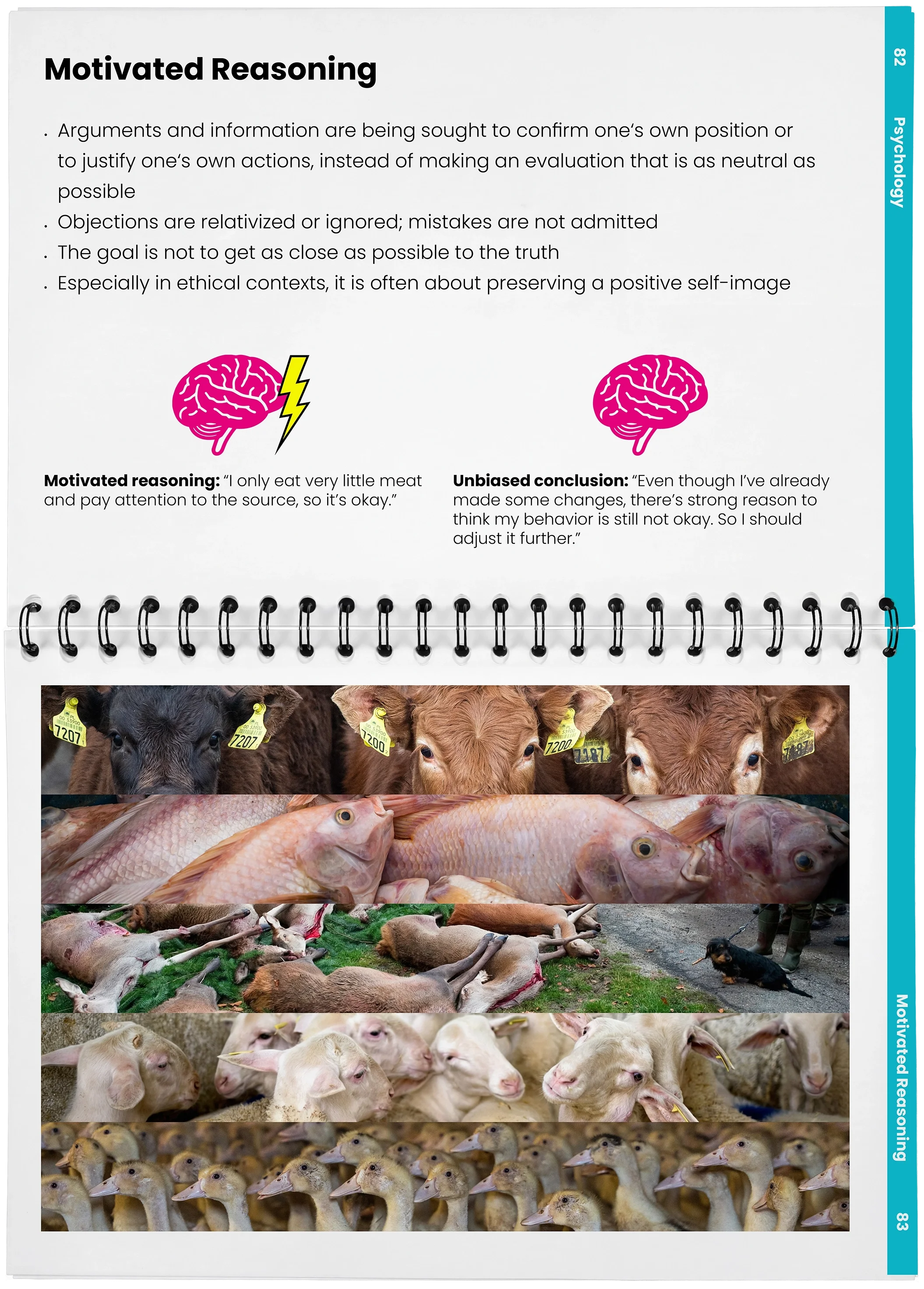 2026_04_29_DieMappe_Aufgeschlagen_Mockup_EN_41.webp