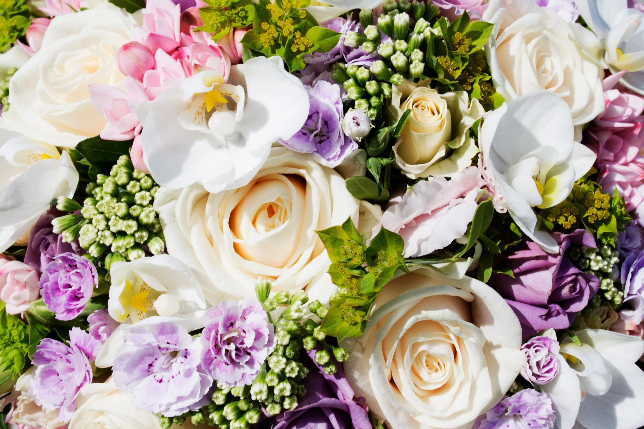 Bryllupsfotograf København, bryllupsfotograf sjælland