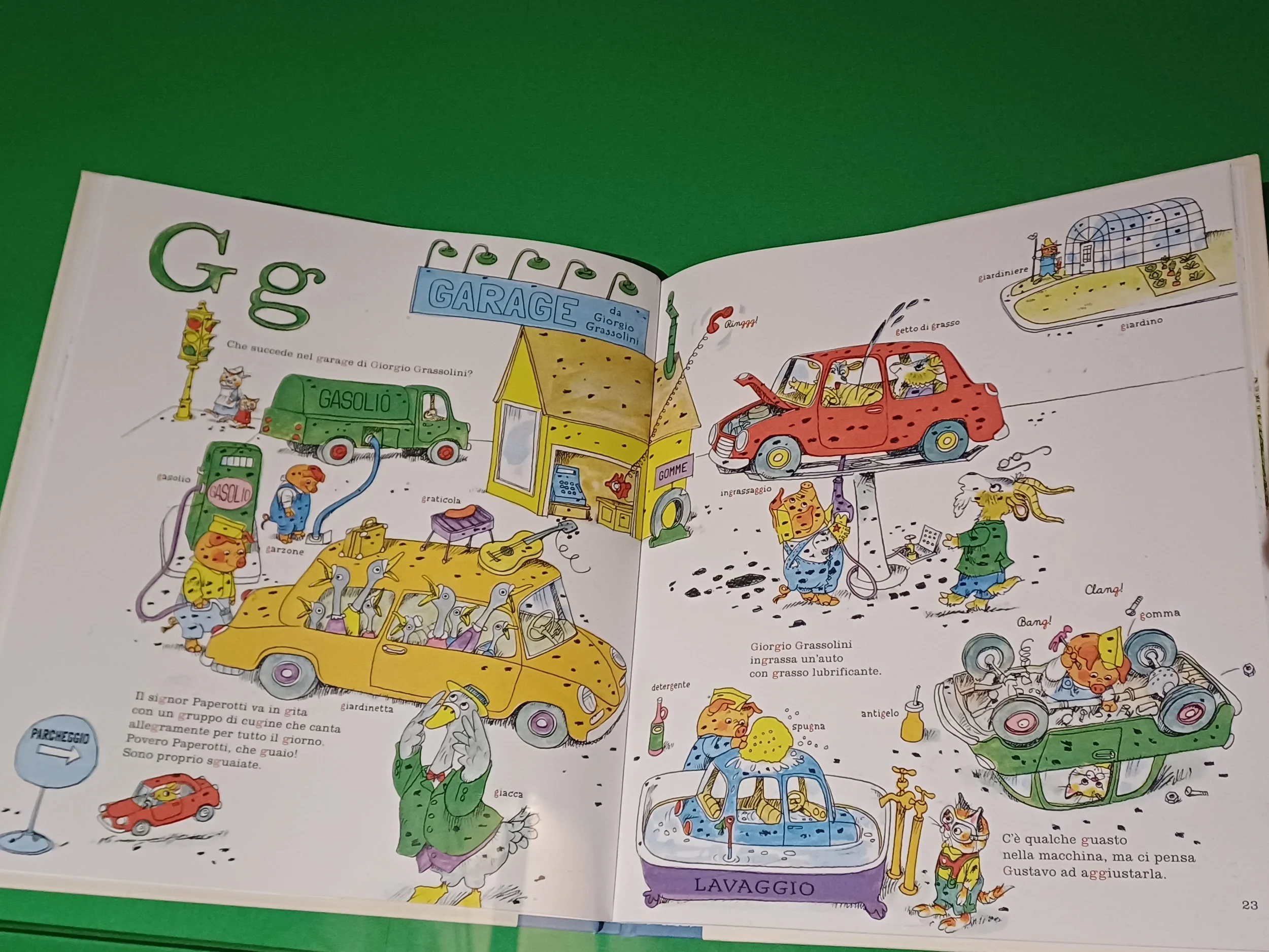 Bologna Anatomical Theater Book