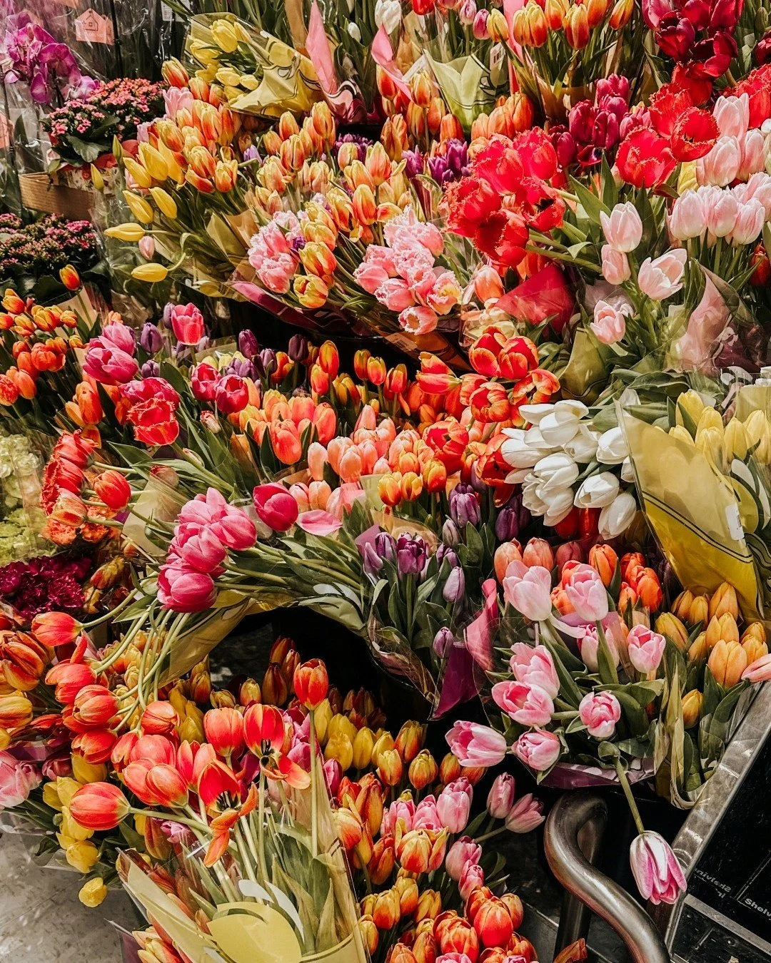 Yellow for friends, red for lovers. Pick wisely 💐