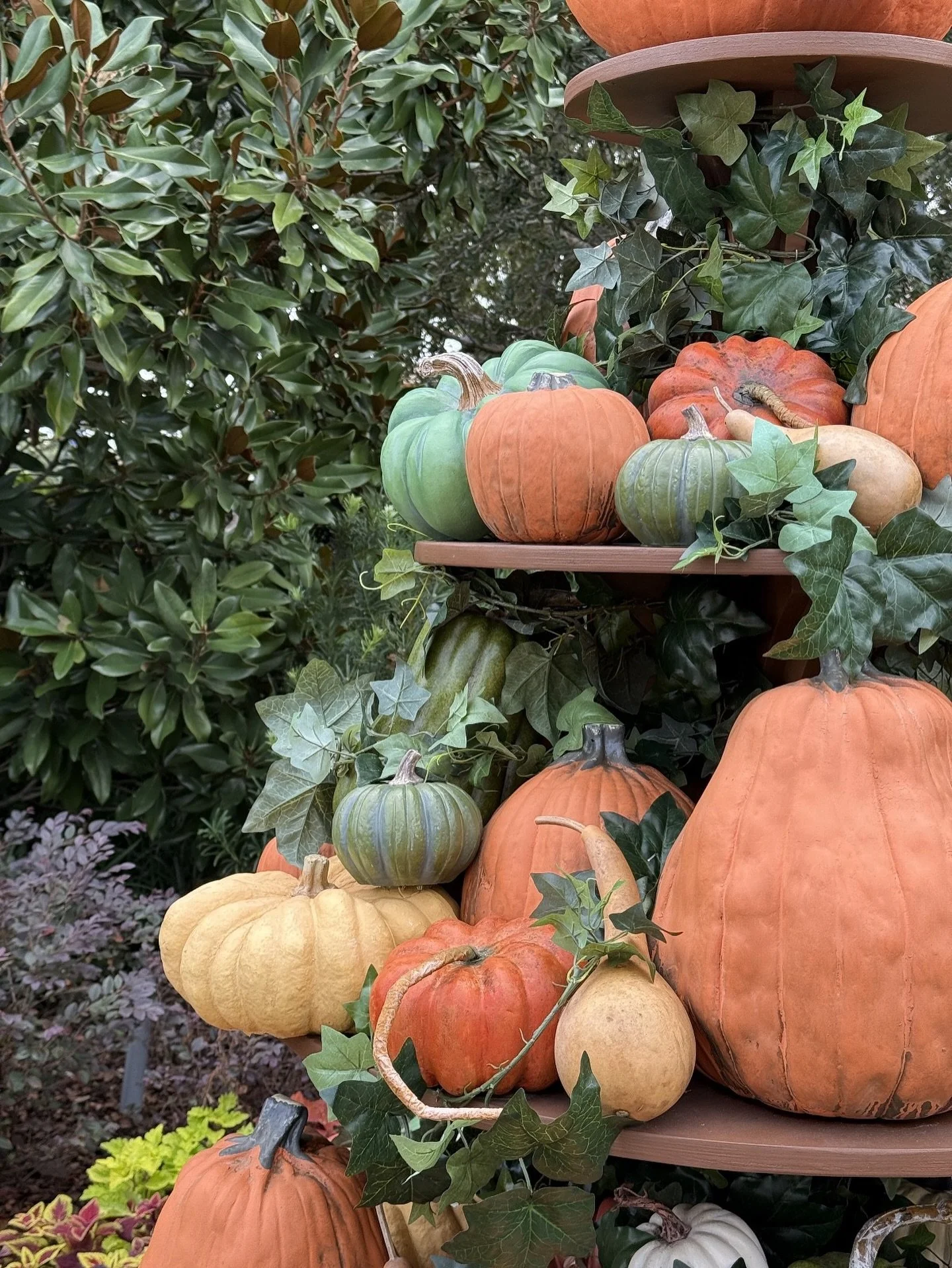 Spooky season is upon us. What costume should I consider?