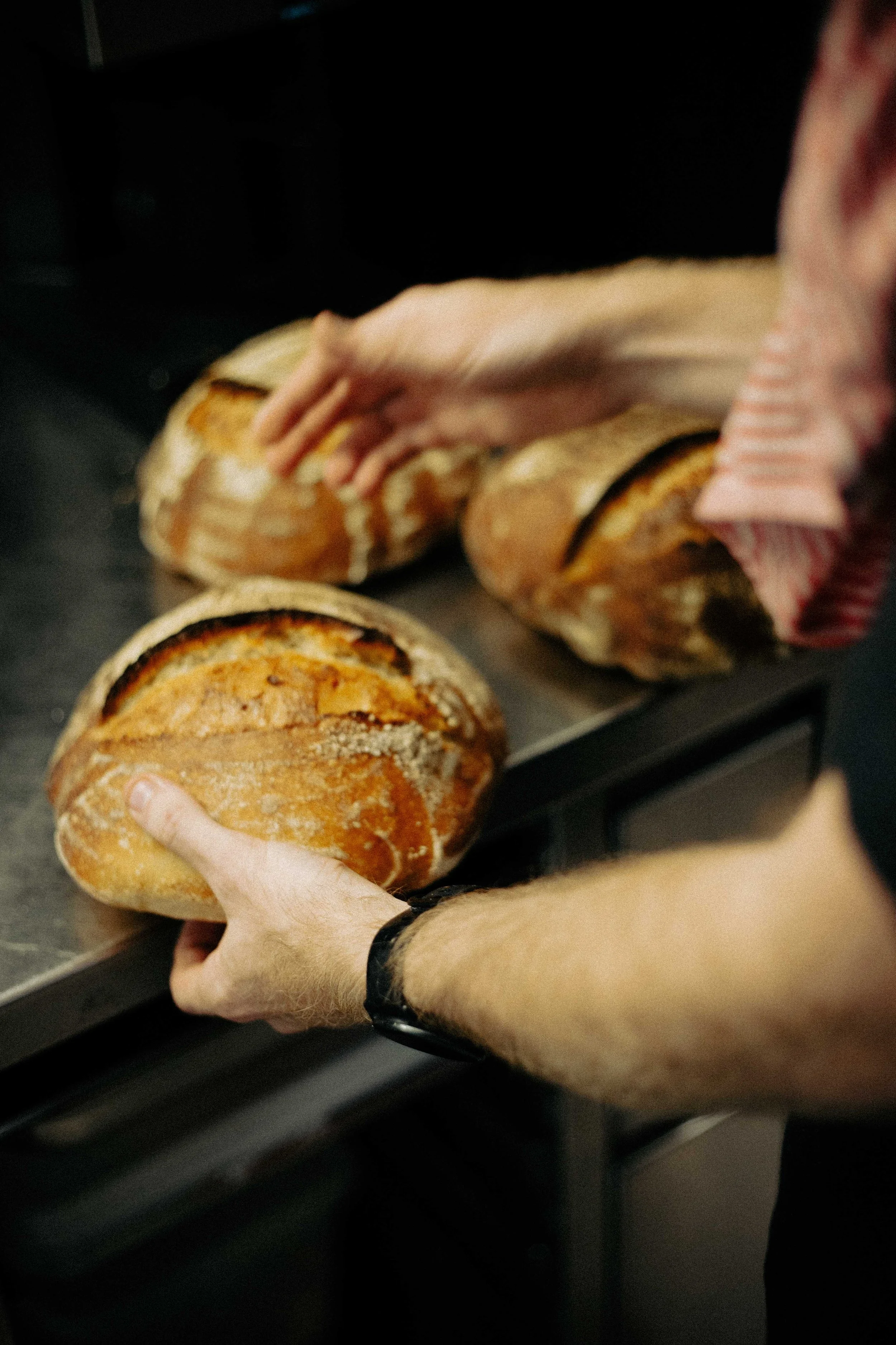 Taberna Oktober - Louise De Groote-1479.jpg