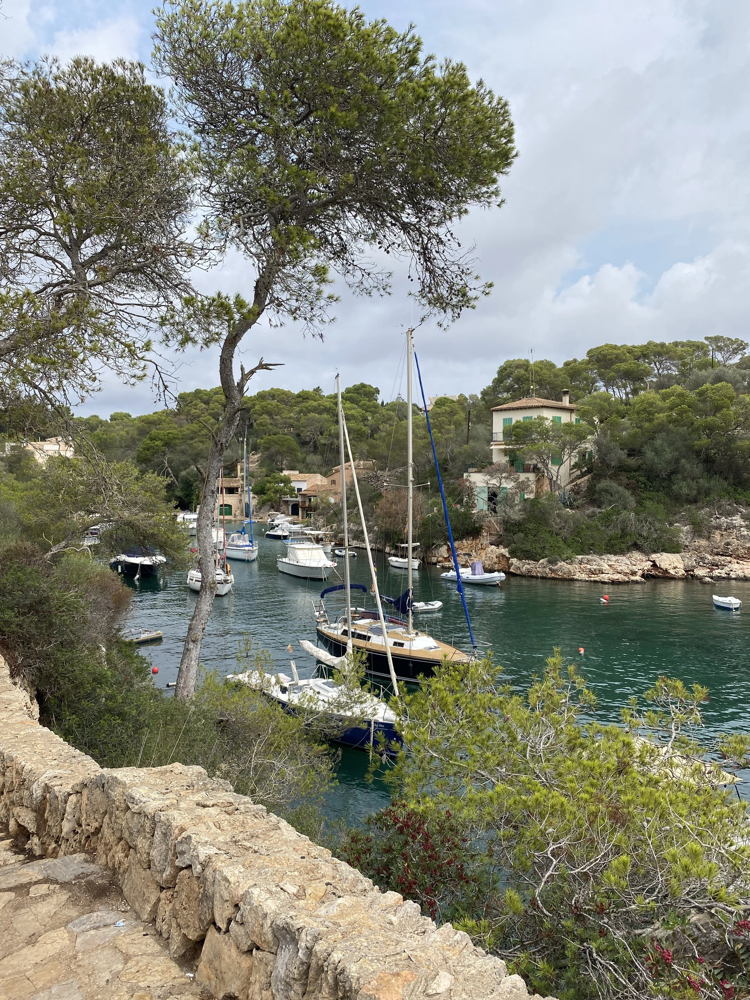 IMG_5822.JPEG