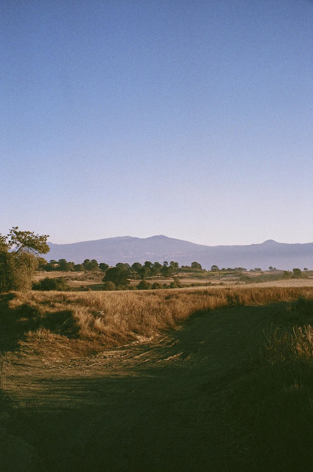 35mm Colour, Mexico City