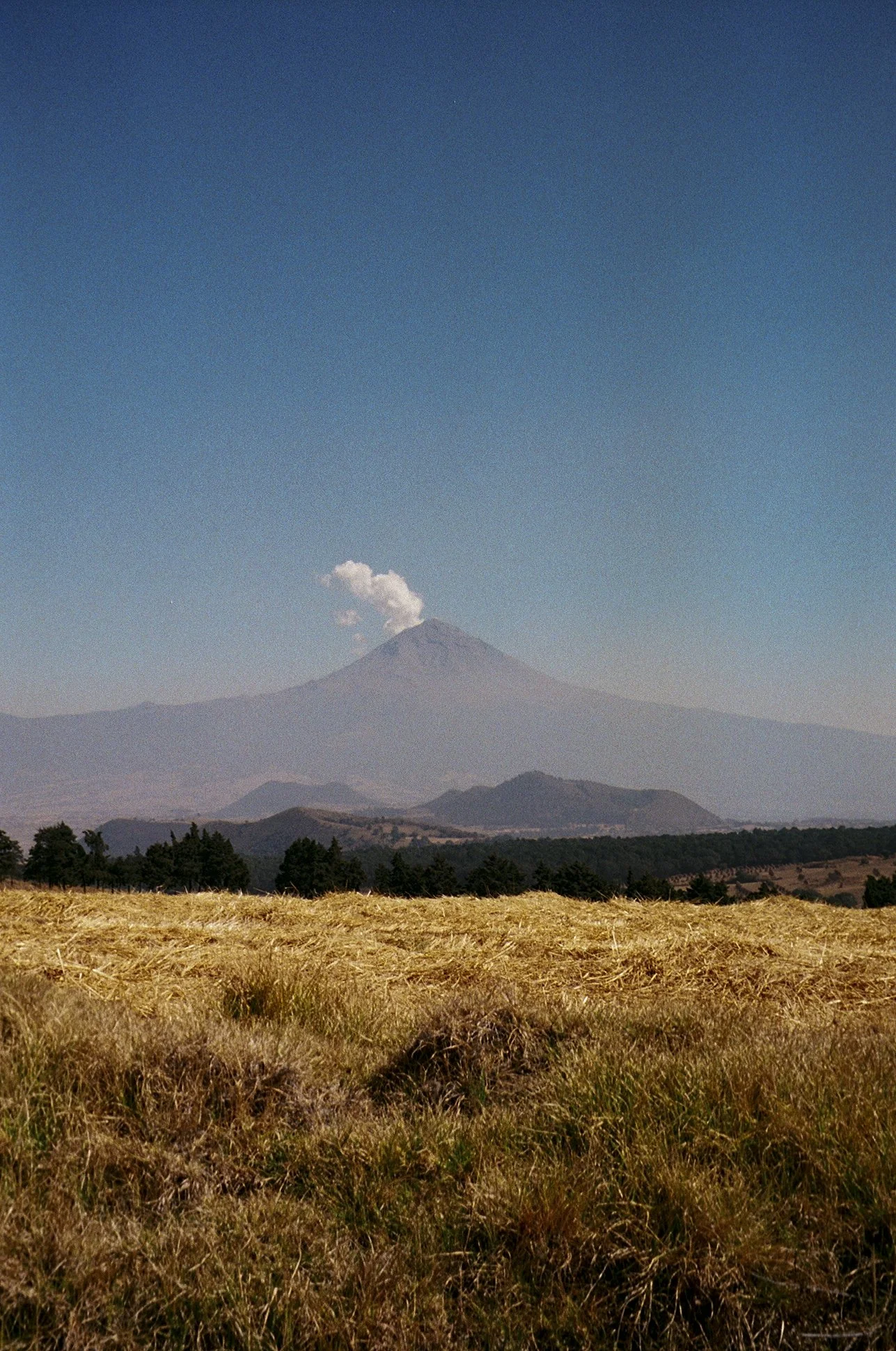 35mm Colour, Mexico City