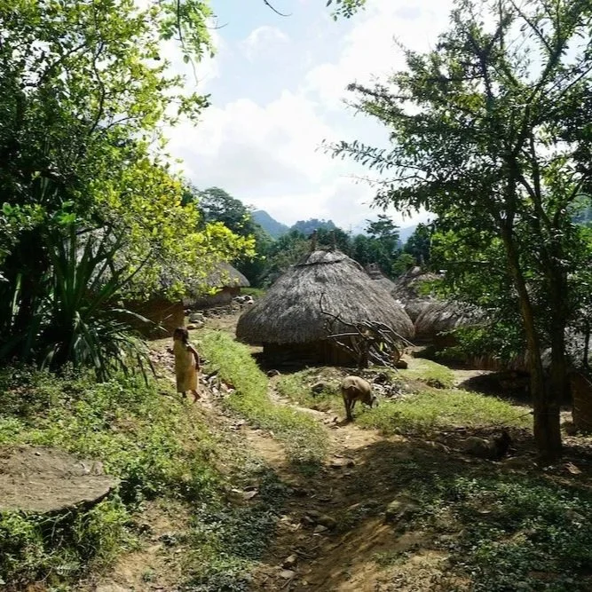 Traditional grass huts and communities in Colombia