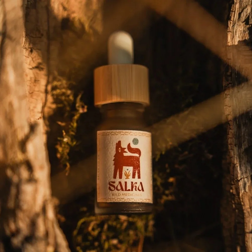 Guayusa Sound Extract Tincture