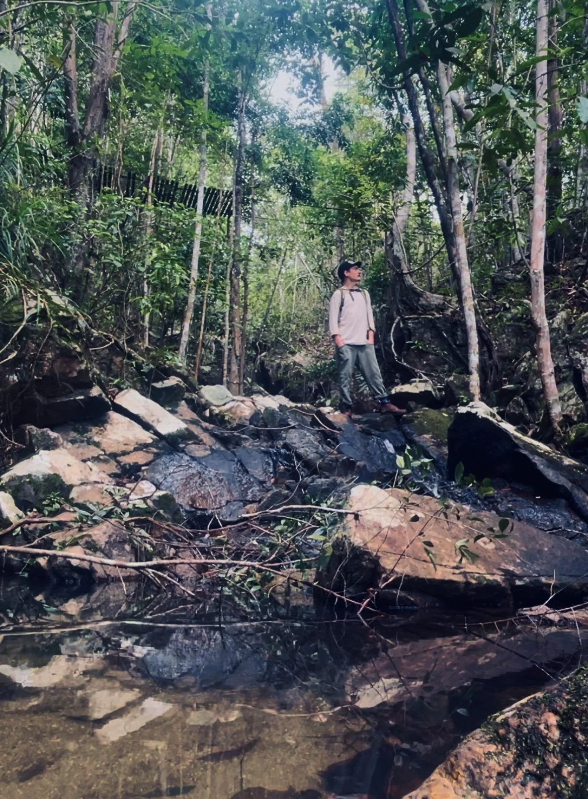 Man standing on a rock in a stream looking up at a forest around him
