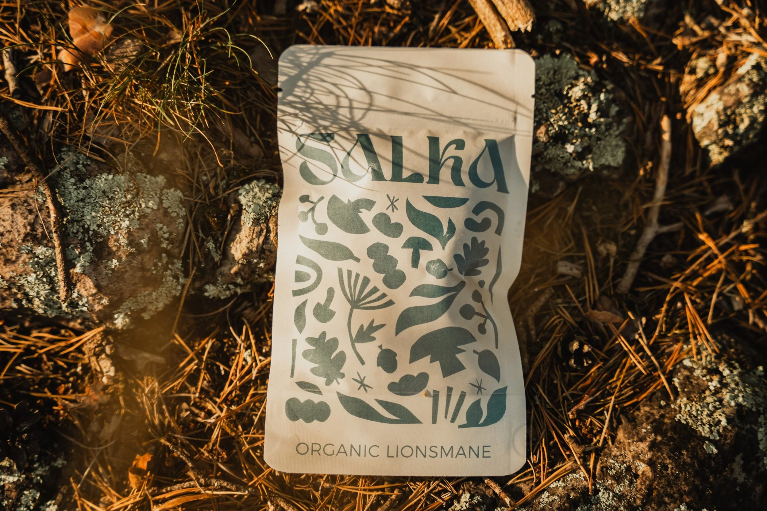 Organic Lion's Mane Capsules