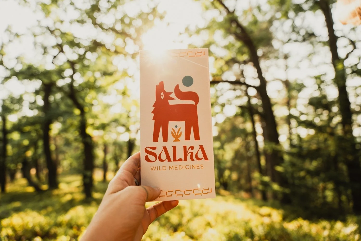 Hand holding branding element with text Salka Wild Medicines