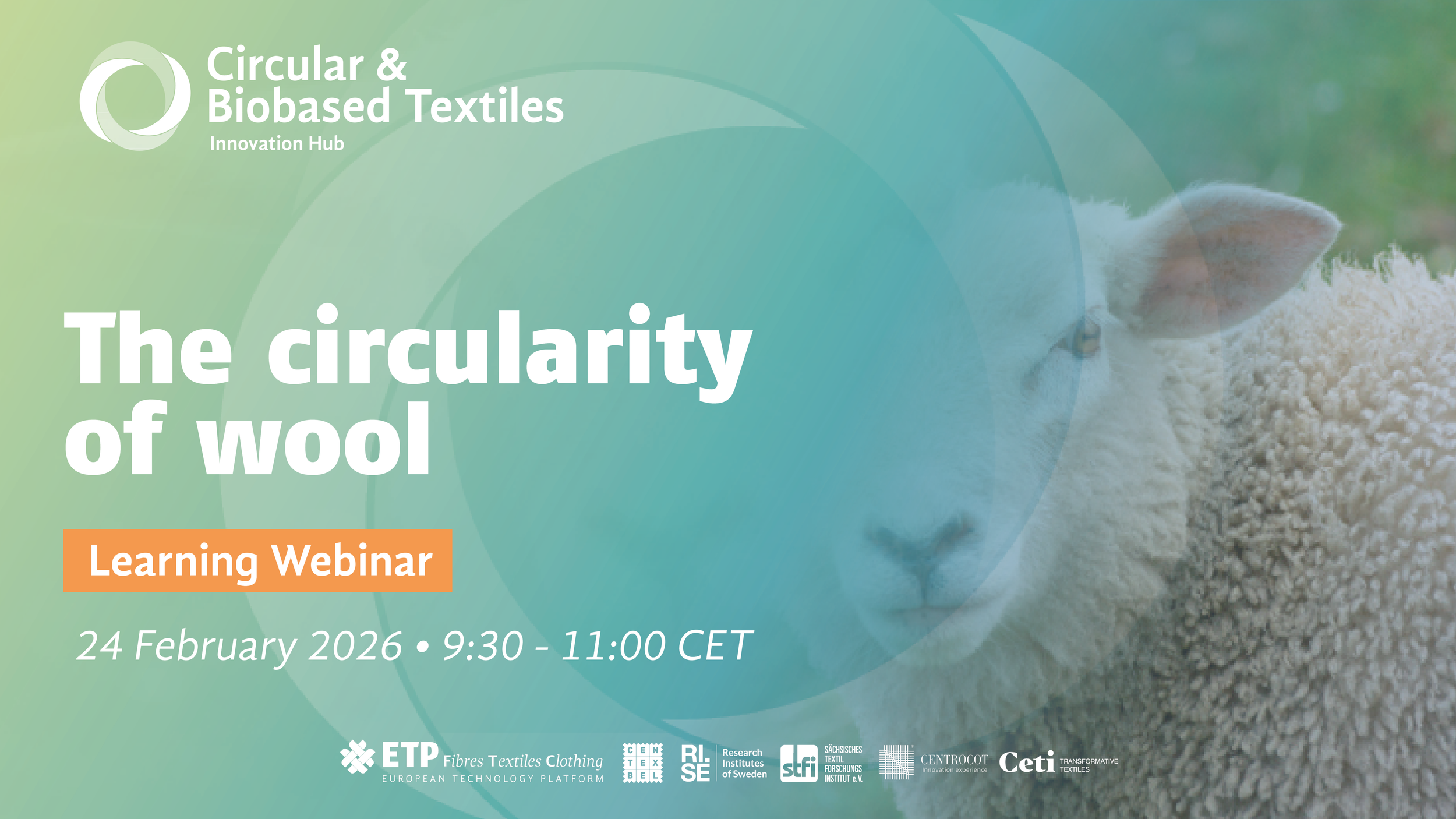 ‎ ‎ ‎ ‎ The circularity of wool