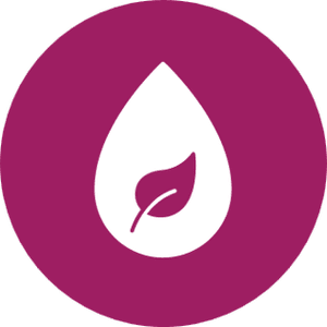 Textiles of the Future European Partnership — Textile ETP