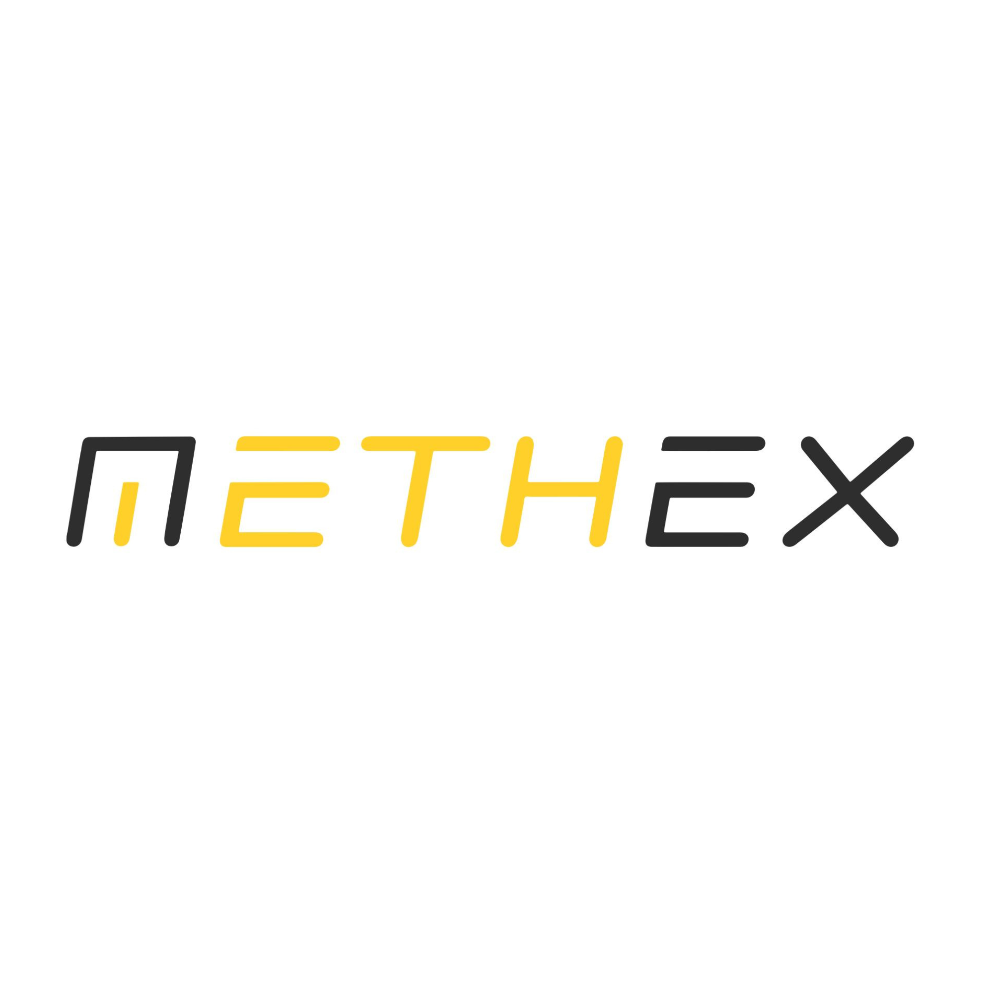 Methex Srl.png