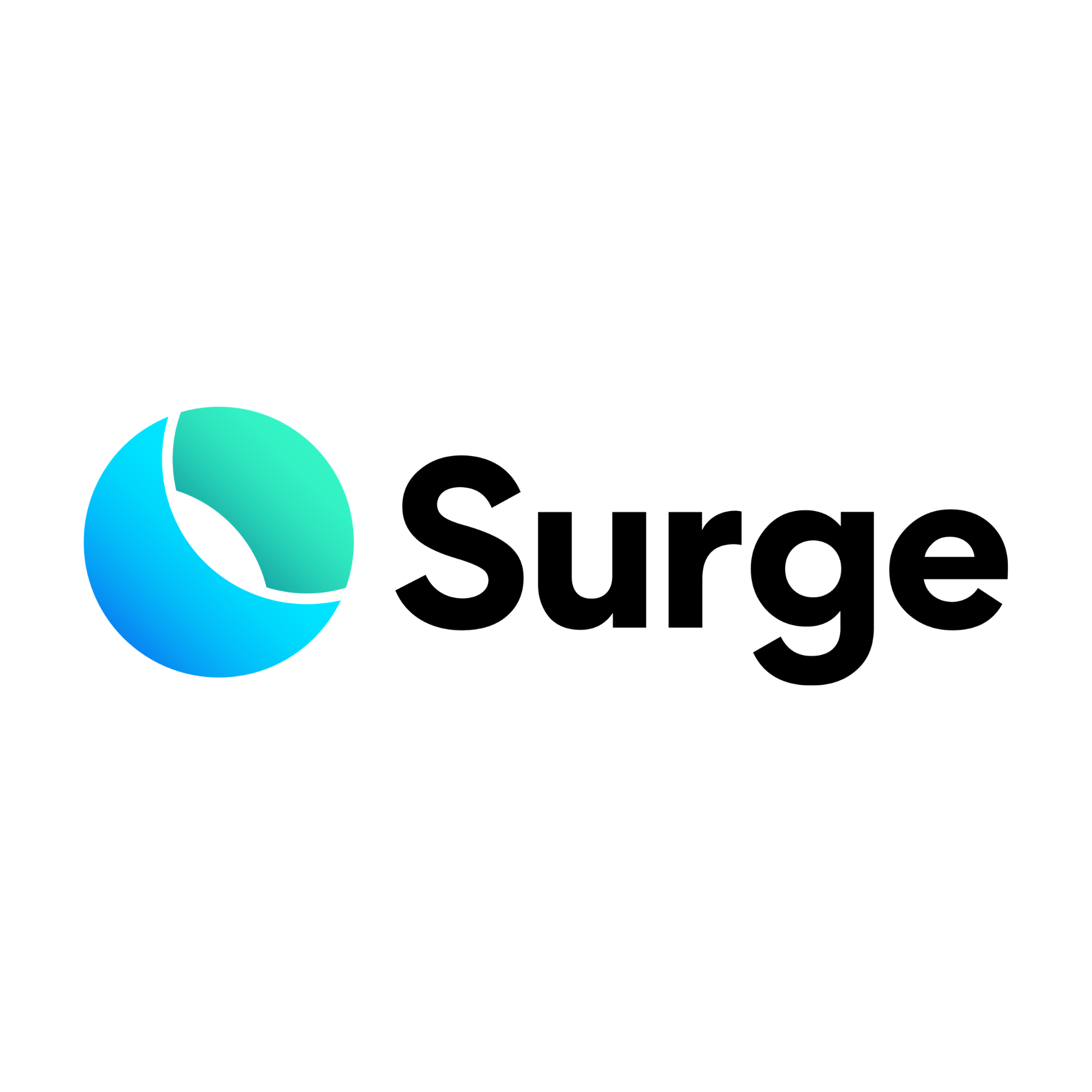 Surge srl.png