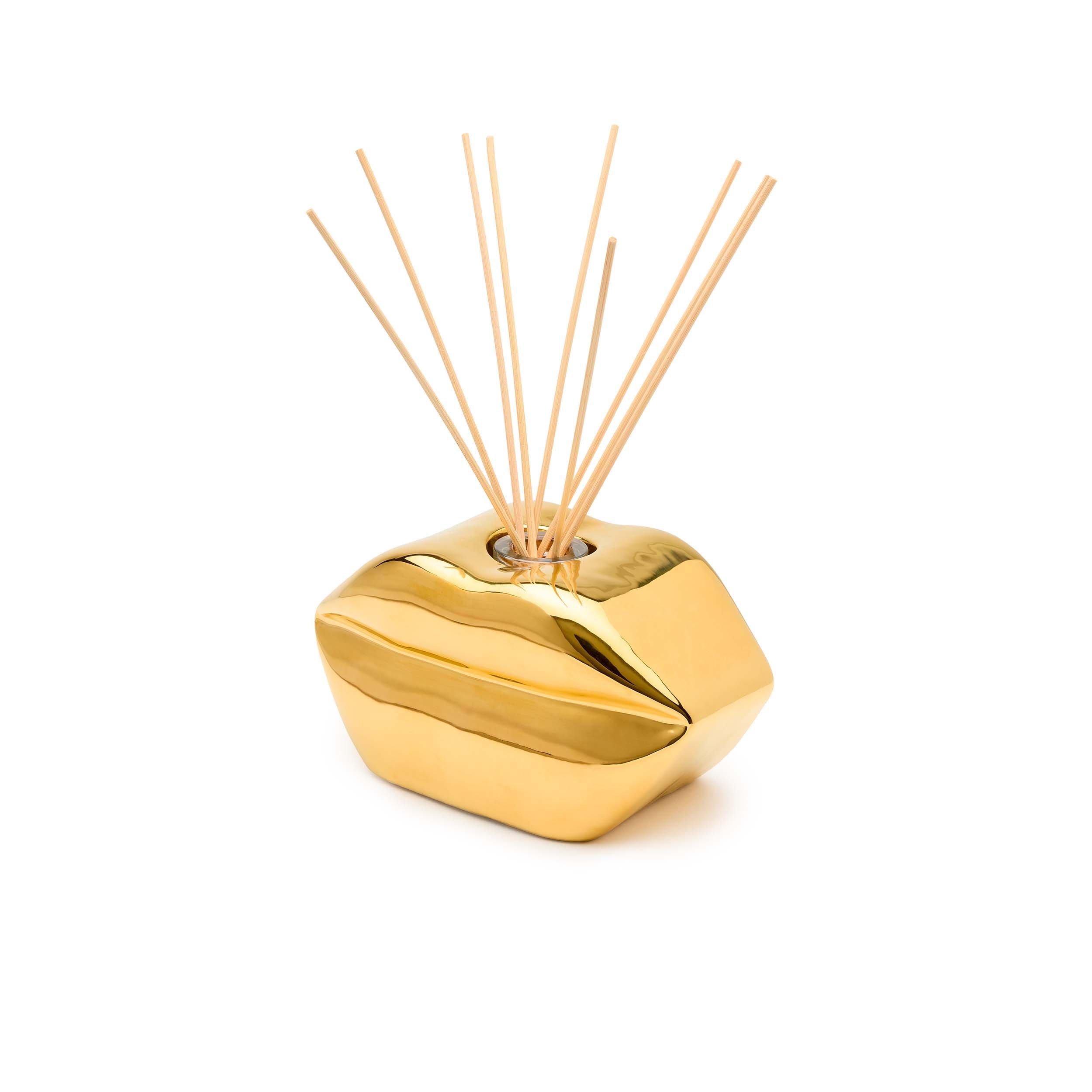 Lips Diffuser Gloss Gold