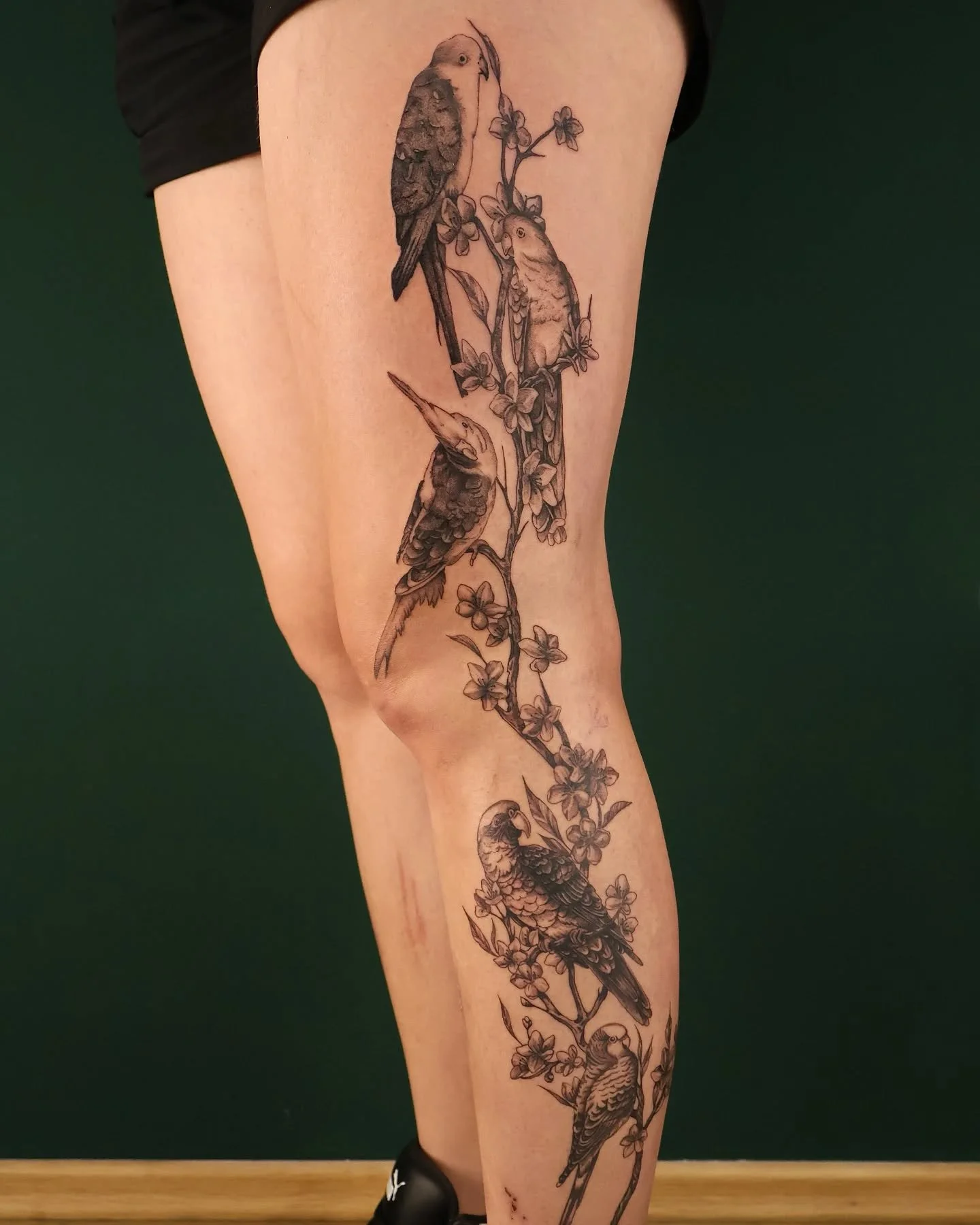 Birbs 🦜 jedan od najdražih dijelova tetoviranja je kada nam &scaron;aljete slike svojih ljubimaca kao reference 💚 nikada nećemo prestati kolektivno fangirlati kada ih vidimo #sorrynotsorry

Done using: @mr.ink_tattoocare @onyxtattoosupply