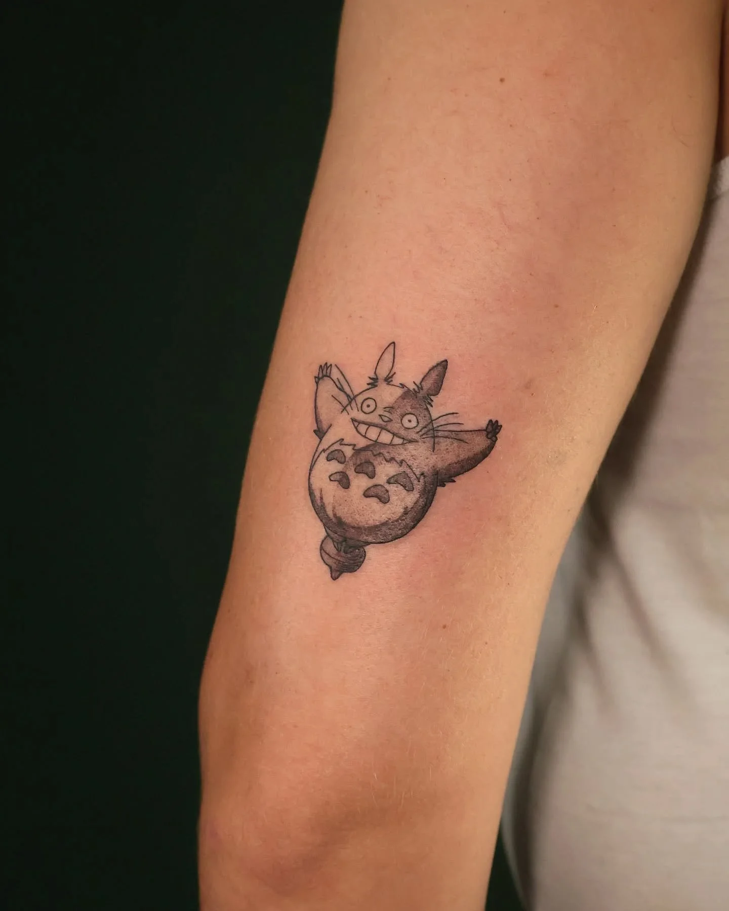 Početak patchwork sleevea kojem su se u međuvremenu pridružile i neke nove tetovažice (koje smo zaboravili slikati) 😁 hvala na povjerenju 🫶

#animetattooideas #smalltattoo #animetattoos #patchworktattoo #patchworksleeve #anime #tetovaže #zagreb