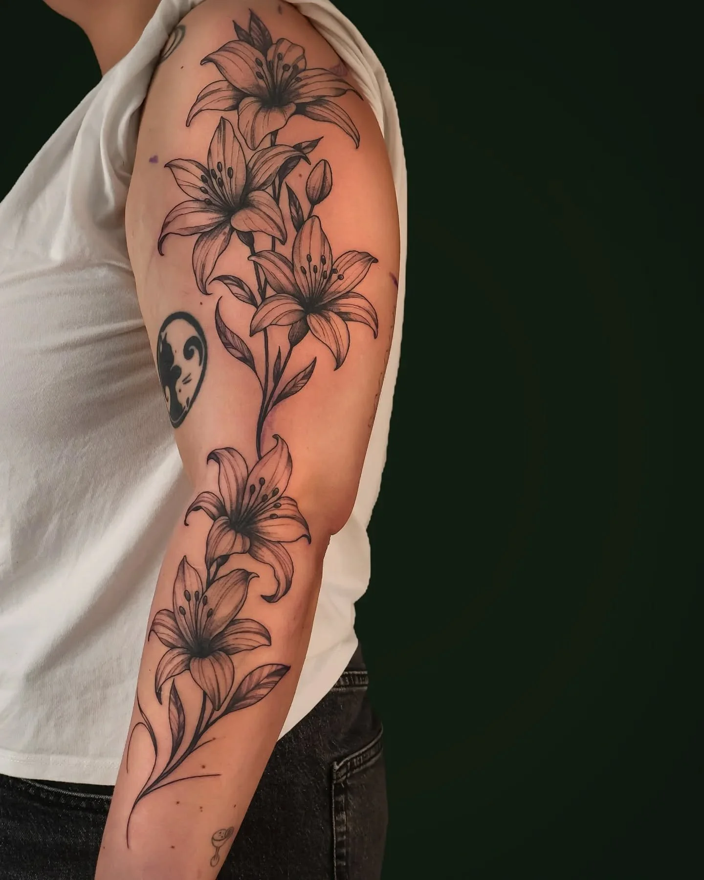 Proljetna kolekcija '26 🌸🌼🌸🌼