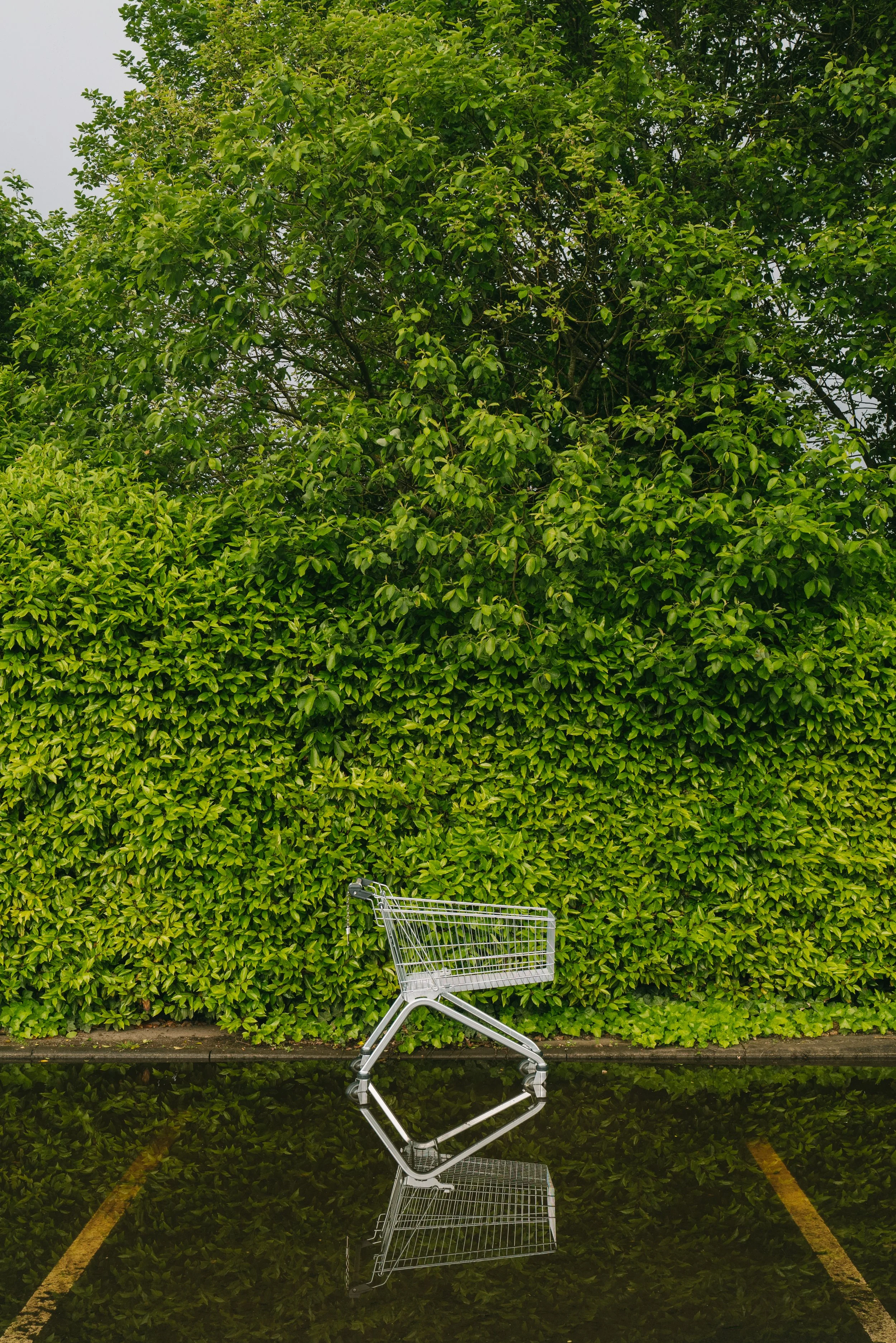 spring2021-68.jpg