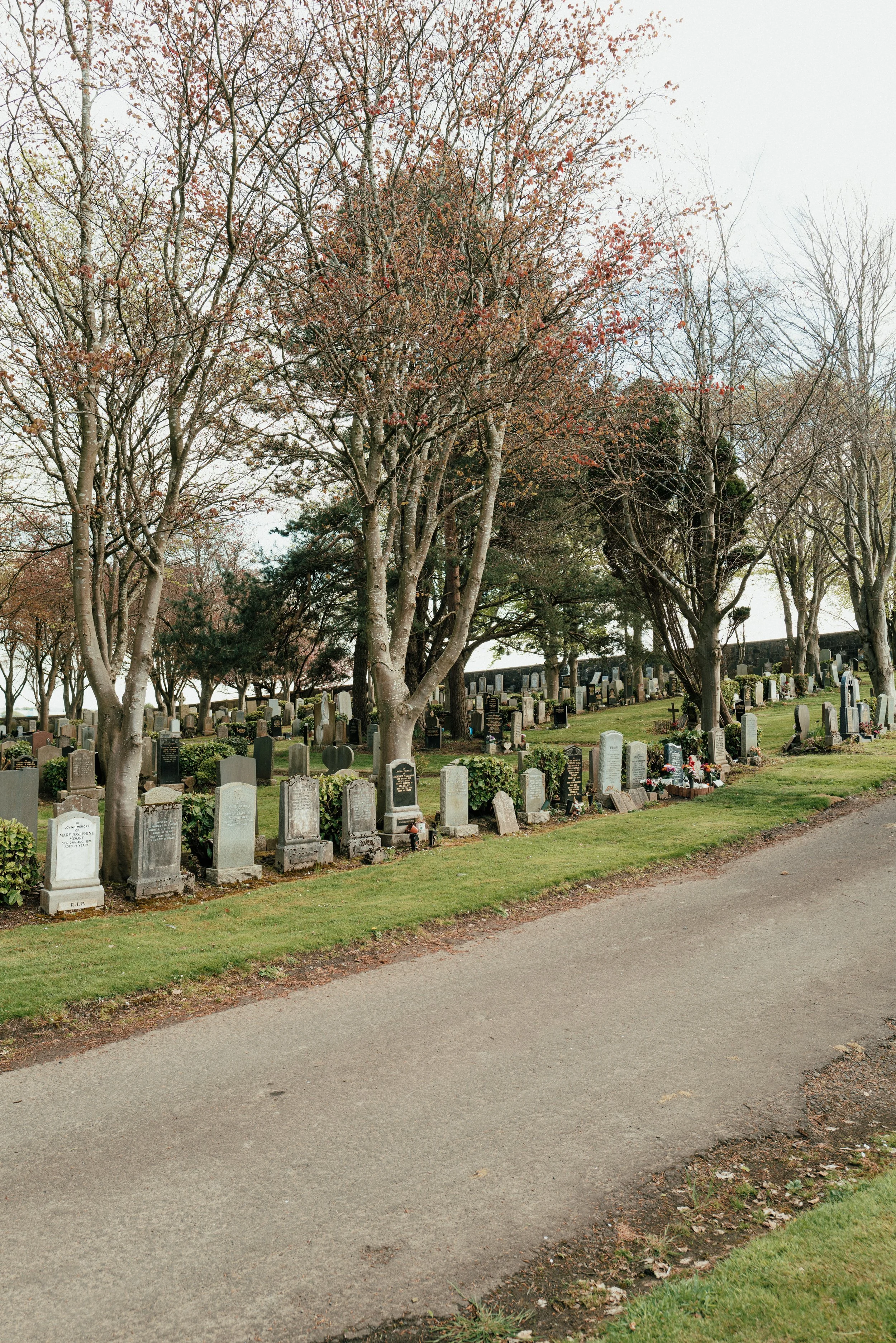 spring2021-34.jpg