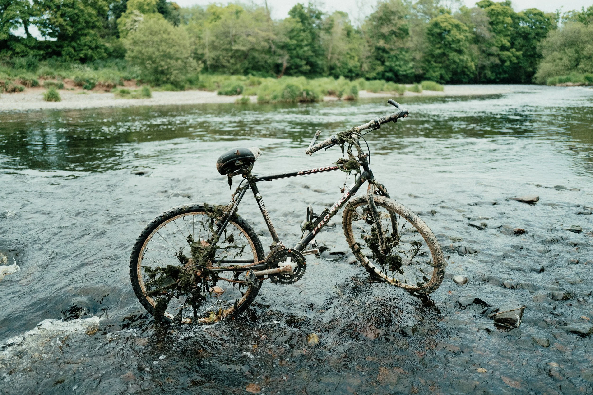 spring2021-61.jpg