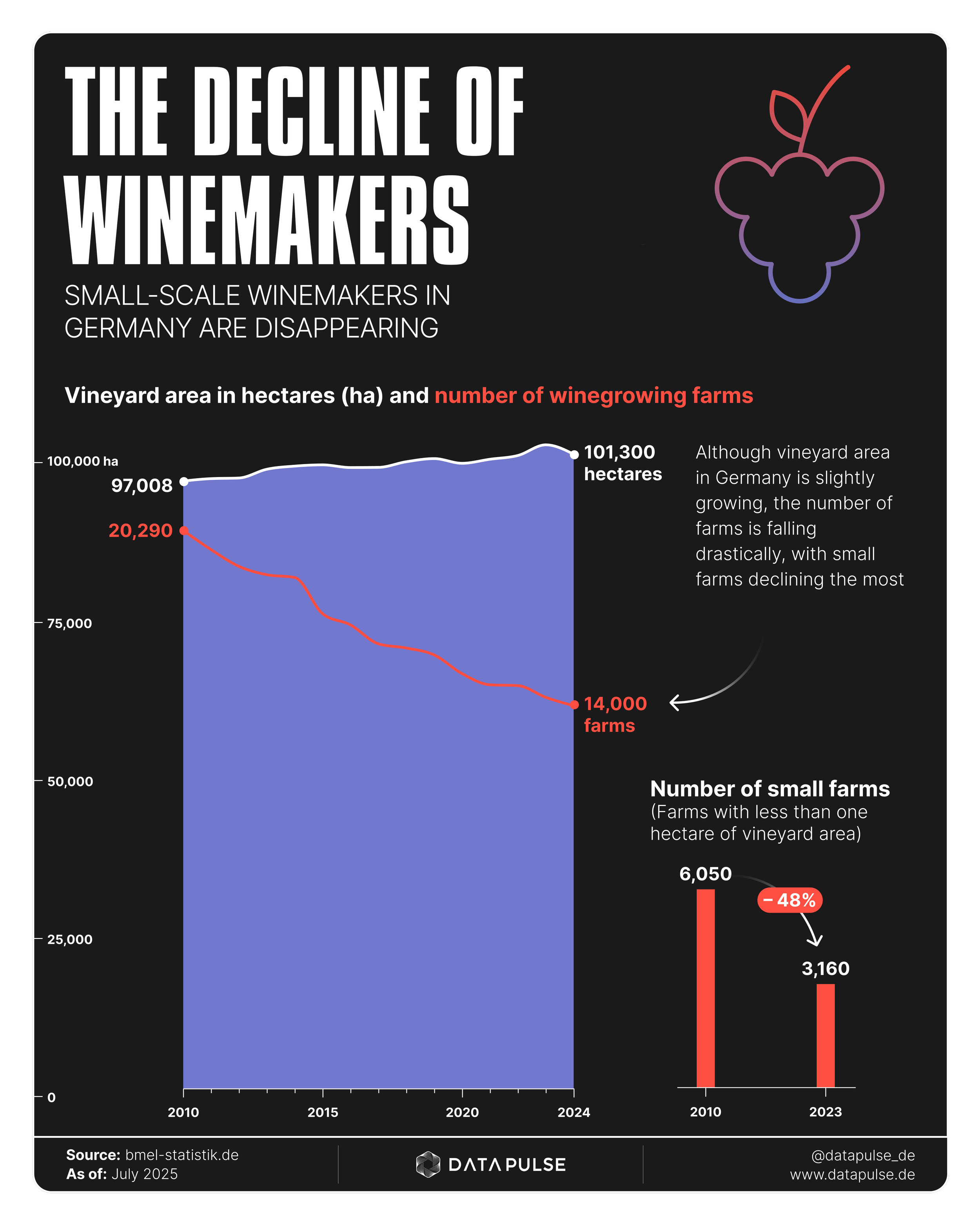 A chart showing the decline of small-scale winemakers in Germany from 2010 to 2024, with vineyard area slightly increasing from 97,008 to 101,300 hectares, but the number of farms decreasing from 20,290 to 14,000, and small farms dropping 48% from 6,050 to 3,160.