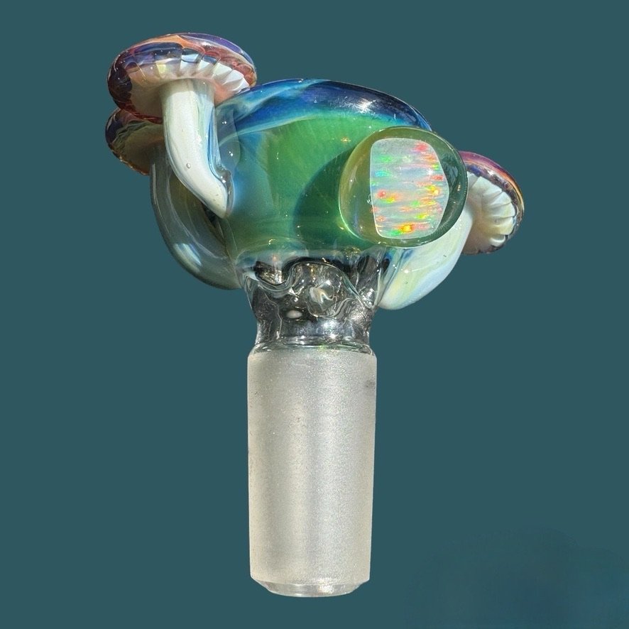 Fungi Slide 14mm