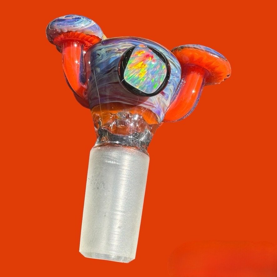 Fungi Slide