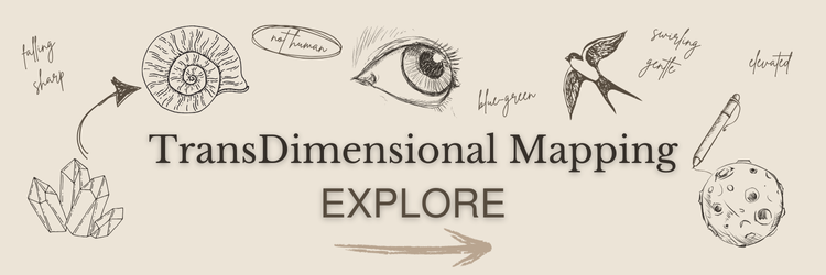 Explore TransDimensional Mapping — TransDimensional Mapping