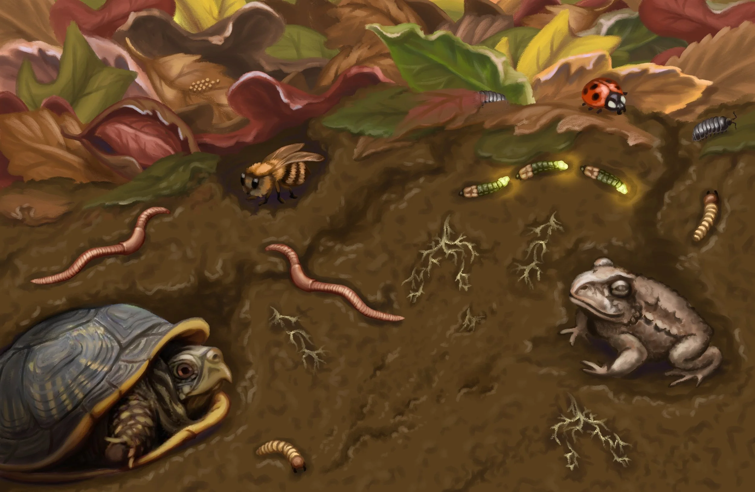 LD_BugsLeaves copy.jpg