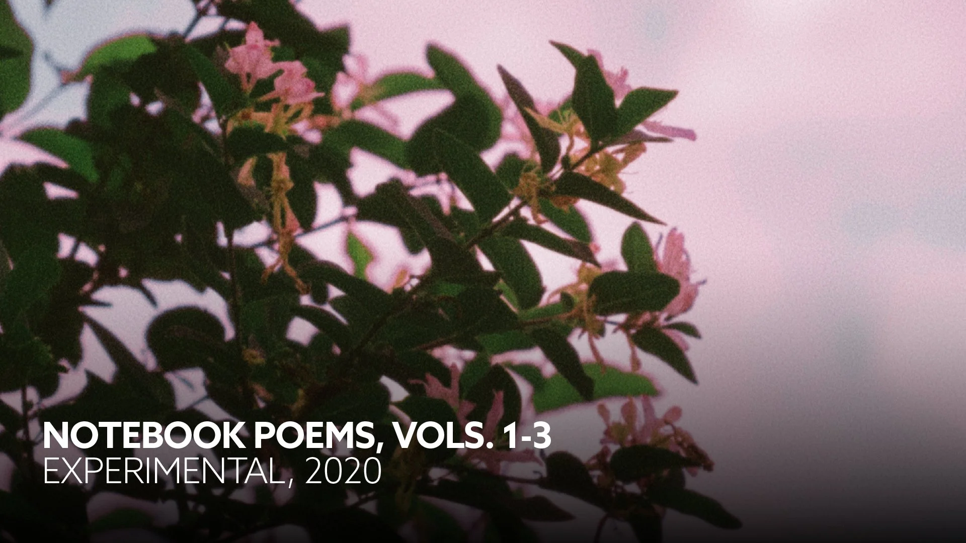 Notebook Poems, Vols. 1-3
